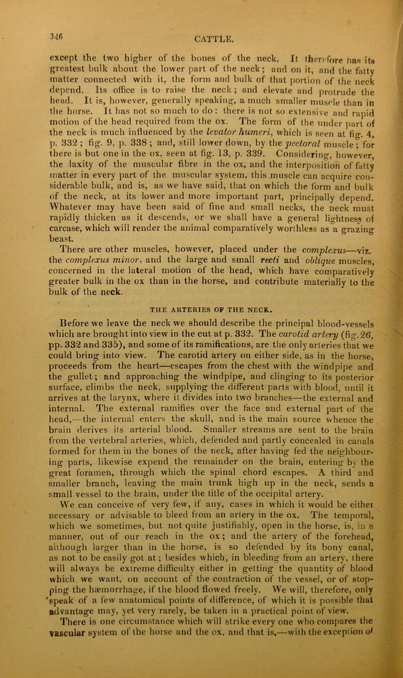 except the two higher of the bones of the neck. It therefore has its greatest bulk about the lower part of the neck; and on it, and the fatty matter connected with it, the form and bulk of that portion of the neck depend. Its office is to raise the neck; and elevate and protrude the head. It is, however, generally speaking, a much smaller muscle than in the horse. It has not so much to do: there is not so extensive and rapid motion of the head required from the ox. The form of the under part of the neck is much influenced by the levator humeri, which is seen at fig. 4, p. 332 ; fig. 9, p. 338 ; and, still lower down, by the pectoral muscle; for there is but one in the ox, seen at fig. 13, p. 339. Considering, however, the laxity of the muscular fibre in the ox, and the interposition of fatty matter in every part of the muscular system, this muscle can acquire con- siderable bulk, and is, as we have said, that on which the form and bulk of the neck, at its lower and more important part, principally depend. Whatever may have been said of fine and small necks, the neck must rapidly thicken as it descends, or we shall have a general lightness of carcase, which will render the animal comparatively worthless as a grazing beast. There are other muscles, however, placed under the complexus—viz. the complexus minor, and the large and small recti and oblique muscles, concerned in the lateral motion of the head, which have comparatively greater bulk in the ox than in the horse, and contribute materially to the bulk of the neck. THE ARTERIES OF THE NECK. Before we leave the neck we should describe the principal blood-vessels which are brought into view in the cut at p. 332. The carotid artery (fig. 26, pp. 332 and 335), and some of its ramifications, are the only arteries that we could bring into view. The carotid artery on either side, as in the horse, proceeds from the heart—escapes from the chest with the windpipe and the gullet; and approaching the windpipe, and clinging to its posterior surface, climbs the neck, supplying the different parts with blood, until it arrives at the larynx, where it divides into two branches—the external and internal. The external ramifies over the face and external part of the head,—the internal enters the skull, and is the main source whence the brain derives its arterial blood. Smaller streams are sent to the brain from the vertebral arteries, which, defended and partly concealed in canals formed for them in the bones of the neck, after having fed the neighbour- ing parts, likewise expend the remainder on the brain, entering by the great foramen, through which the spinal chord escapes. A third and smaller branch, leaving the main trunk high up in the neck, sends a small vessel to the brain, under the title of the occipital artery. We can conceive of very few, if any, cases in which it would be eithei necessary or advisable to bleed from an artery in the ox. The temporal, which we sometimes, but not quite justifiably, open in the horse, is, in a manner, out of our reach in the ox; and the artery of the forehead, although larger than in the horse, is so defended by its bony canal, as not to be easily got at; besides which, in bleeding from an artery, there will always be extreme difficulty either in getting the quantity of blood which we want, on account of the contraction of the vessel, or of stop- ping the htemorrhage, if the blood flowed freely. We will, therefore, only 'speak of a few anatomical points of difference, of which it is possible that advantage may, yet very rarely, be taken in a practical point, of view. There is one circumstance which will strike every one who compares the vascular system of the horse and the ox, and that is.—with the exception o(