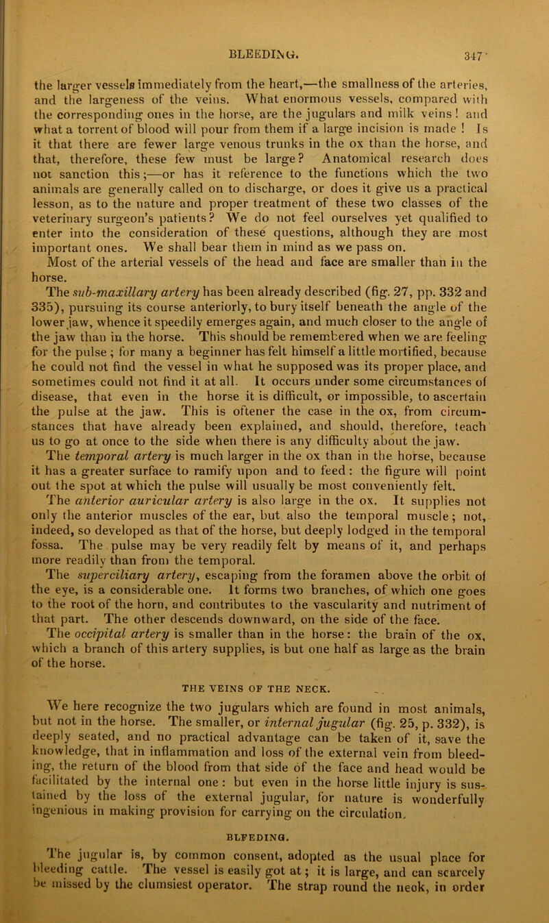 BLEEDING. 347’ the larger vessels immediately from the heart,—the smallness of the arteries, and the largeness of the veins. What enormous vessels, compared with the corresponding ones in the horse, are the jugulars and milk veins ! and what a torrent of blood will pour from them if a large incision is made ! Is it that there are fewer large venous trunks in the ox than the horse, and that, therefore, these few must be large? Anatomical research does noi sanction this;—or has it reference to the functions which the two animals are generally called on to discharge, or does it give us a practical lesson, as to the nature and proper treatment of these two classes of the veterinary surgeon’s patients? We do not feel ourselves yet qualified to enter into the consideration of these questions, although they are most important ones. We shall bear them in mind as we pass on. Most of the arterial vessels of the head and face are smaller than in the horse. The sub-maxillary artery has been already described (fig. 27, pp. 332 and 335), pursuing its course anteriorly, to bury itself beneath the angle of the lower jaw, whence it speedily emerges again, and much closer to the angle ot the jaw than in the horse. This should be remembered when we are feeling for the pulse ; for many a beginner has felt himself a little mortified, because he could not find the vessel in what he supposed was its proper place, and sometimes could not find it at all. It occurs under some circumstances of disease, that even in the horse it is difficult, or impossible, to ascertain the pulse at the jaw. This is oftener the case in the ox, from circum- stances that have already been explained, and should, therefore, teach us to go at once to the side when there is any difficulty about the jaw. The temporal artery is much larger in the ox than in the horse, because it has a greater surface to ramify upon and to feed: the figure will point out the spot at which the pulse will usually be most conveniently felt. The anterior auricular artery is also large in the ox. It supplies not only the anterior muscles of the ear, but also the temporal muscle; not, indeed, so developed as that of the horse, but deeply lodged in the temporal fossa. The pulse may be very readily felt by means of it, and perhaps more readily than from the temporal. The superciliary artery, escaping from the foramen above the orbit of the eye, is a considerable one. It forms two branches, of which one goes to the root of the horn, and contributes to the vascularity and nutriment of that part. The other descends downward, on the side of the face. The occipital artery is smaller than in the horse: the brain of the ox, which a branch of this artery supplies, is but one half as large as the brain of the horse. THE VEINS OF THE NECK. We here recognize the two jugulars which are found in most animals, but not in the horse. The smaller, or internal jugular (fig. 25, p. 332), is deeply seated, and no practical advantage can be taken of it, save the knowledge, that in inflammation and loss of the external vein from bleed- ing, the return of the blood from that side of the face and head would be facilitated by the internal one : but even in the horse little injury is sus- tained by the loss of the external jugular, for nature is wonderfully ingenious in making provision for carrying on the circulation. BLFEDINQ. The jugular is, by common consent, adopted as the usual place for bleeding cattle. The vessel is easily got at; it is large, and can scarcely be missed by the clumsiest operator. The strap round the neok, in order