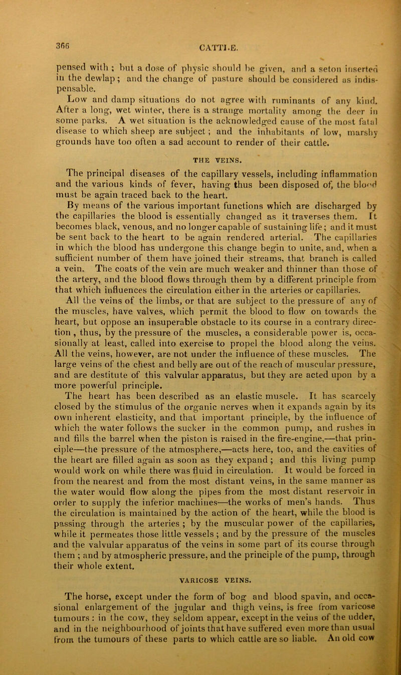 pensed with ; but a dose of physic should be given, and a seton inserted in the dewlap; and the change of pasture should be considered as indis- pensable. Low and damp situations do not agree with ruminants of any kind. After a long, wet winte-r, there is a strange mortality among the deer in some parks. A wet situation is the acknowledged cause of the most fatal disease to which sheep are subject ; and the inhabitants of low, marshy grounds have too often a sad account to render of their cattle. THE VEINS. The principal diseases of the capillary vessels, including inflammation and the various kinds of fever, having thus been disposed of, the blo<'H must be again traced back to the heart. By means of the various important functions which are discharged by the capillaries the blood is essentially changed as it traverses them. It becomes black, venous, and no longer capable of sustaining life; and it must be sent back to the heart to be again rendered arterial. The capillaries in which the blood has undergone this change begin to unite, and, when a sufficient number of them have joined their streams, that branch is called a vein. The coats of the vein are much weaker and thinner than those of the artery, and the blood flows through them by a different principle from that which influences the circulation either in the arteries or capillaries. All the veins of the limbs, or that are subject to the pressure of any of the muscles, have valves, which permit the blood to flow on towards the heart, but oppose an insuperable obstacle to its course in a contrary direc- tion , thus, by the pressure of the muscles, a considerable power is, occa- sionally at least, called into exercise to propel the blood along the veins. All the veins, however, are not under the influence of these muscles. The large veins of the chest and belly are out of the reach of muscular pressure, and are destitute of this valvular apparatus, but they are acted upon by a more powerful principle. The heart has been described as an elastic muscle. It has scarcely closed by the stimulus of the organic nerves when it expands again by its own inherent elasticity, and that important principle, by the influence of which the water follows the sucker in the common pump, and rushes in and fills the barrel when the piston is raised in the fire-engine,—that prin- ciple—the pressure of (he atmosphere,—acts here, too, and the cavities of the heart are filled again as soon as they expand ; and this living pump would work on while there was fluid in circulation. It would be forced in from the nearest and from the most distant veins, in the same manner as the water would flow along the pipes from the most distant reservoir in order to supply the inferior machines—the works of men’s hands. Thus the circulation is maintained by the action of the heart, while the blood is passing through the arteries ; by the muscular power of the capillaries, while it permeates those little vessels; and by the pressure of the muscles and the valvular apparatus of the veins in some part of its course through them ; and by atmospheric pressure, and the principle of the pump, through their whole extent. VARICOSE VEINS. The horse, except under the form of bog and blood spavin, and occa- sional enlargement of the jugular and thigh veins, is free from varicose tumours : in (he cow, they seldom appear, except in the veins of the udder, and in the neighbourhood of joints that have suffered even more than usual from the tumours of these parts to which cattle are so liable. An old cow