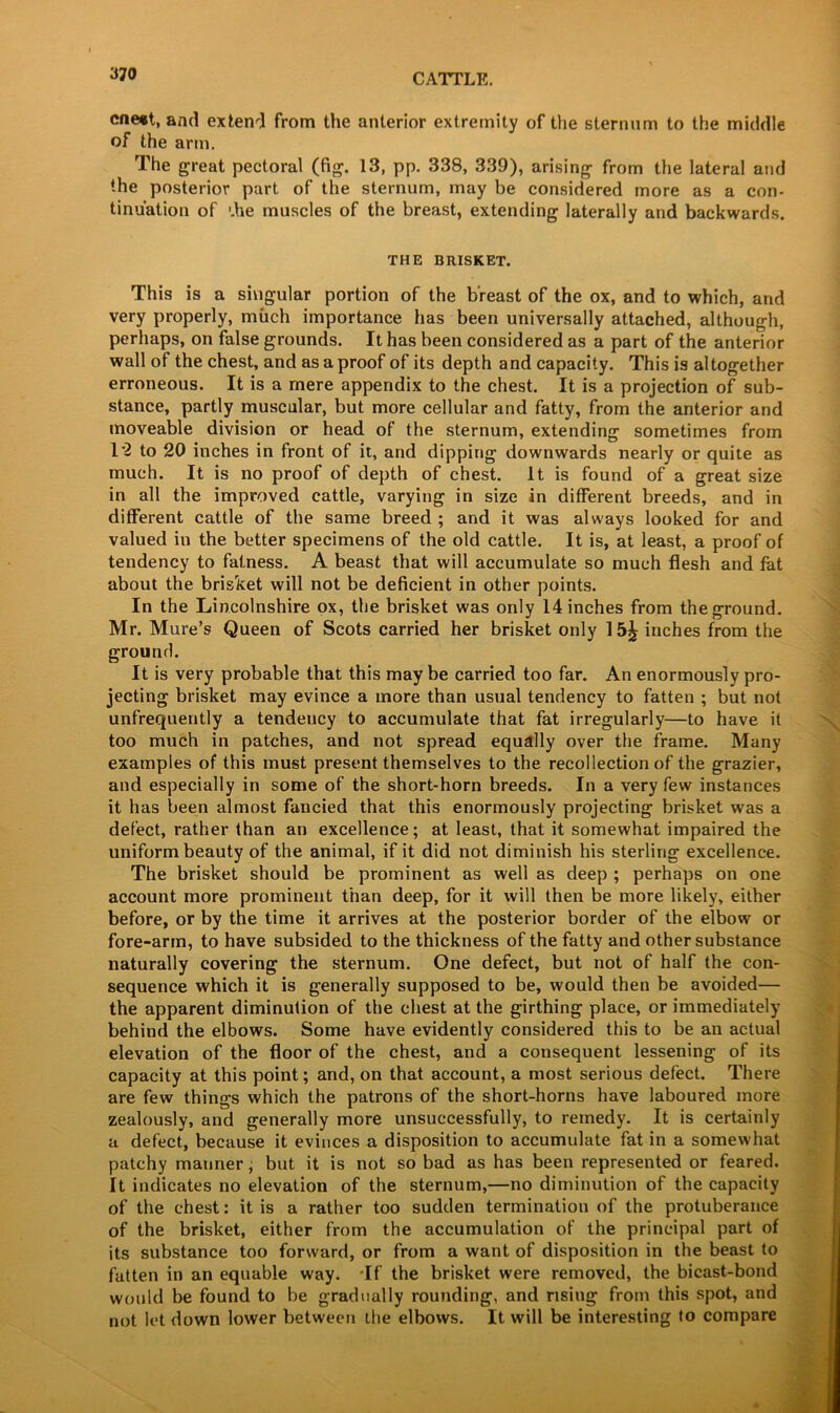 ene*t, and extend from the anterior extremity of the sternum to the middle of the arm. The great pectoral (fig. 13, pp. 338, 339), arising from the lateral and the posterior part of the sternum, may be considered more as a con- tinuation of '.he muscles of the breast, extending laterally and backwards. THE BRISKET. This is a singular portion of the breast of the ox, and to which, and very properly, much importance has been universally attached, although, perhaps, on false grounds. It has been considered as a part of the anterior wall of the chest, and as a proof of its depth and capacity. This is altogether erroneous. It is a mere appendix to the chest. It is a projection of sub- stance, partly muscular, but more cellular and fatty, from the anterior and moveable division or head of the sternum, extending sometimes from 12 to 20 inches in front of it, and dipping downwards nearly or quite as much. It is no proof of depth of chest. It is found of a great size in all the improved cattle, varying in size in different breeds, and in different cattle of the same breed ; and it was always looked for and valued in the better specimens of the old cattle. It is, at least, a proof of tendency to fatness. A beast that will accumulate so much flesh and fat about the brisket will not be deficient in other points. In the Lincolnshire ox, the brisket was only 14 inches from the ground. Mr. Mure’s Queen of Scots carried her brisket only 15^ inches from the ground. It is very probable that this may be carried too far. An enormously pro- jecting brisket may evince a more than usual tendency to fatten ; but not unfrequently a tendency to accumulate that fat irregularly—to have it too much in patches, and not spread equally over the frame. Many examples of this must present themselves to the recollection of the grazier, and especially in some of the short-horn breeds. In a very few instances it has been almost fancied that this enormously projecting brisket was a defect, rather than an excellence; at least, that it somewhat impaired the uniform beauty of the animal, if it did not diminish his sterling excellence. The brisket should be prominent as well as deep ; perhaps on one account more prominent than deep, for it will then be more likely, either before, or by the time it arrives at the posterior border of the elbow or fore-arm, to have subsided to the thickness of the fatty and other substance naturally covering the sternum. One defect, but not of half the con- sequence which it is generally supposed to be, would then be avoided— the apparent diminution of the chest at the girthing place, or immediately behind the elbows. Some have evidently considered this to be an actual elevation of the floor of the chest, and a consequent lessening of its capacity at this point; and, on that account, a most serious defect. There are few things which the patrons of the short-horns have laboured more zealously, and generally more unsuccessfully, to remedy. It is certainly a defect, because it evinces a disposition to accumulate fat in a somewhat patchy manner, but it is not so bad as has been represented or feared. It indicates no elevation of the sternum,—no diminution of the capacity of the chest: it is a rather too sudden termination of the protuberance of the brisket, either from the accumulation of the principal part of its substance too forward, or from a want of disposition in the beast to fatten in an equable way. If the brisket were removed, the bicast-bond would be found to be gradually rounding, and rising from this spot, and not let down lower between the elbows. It will be interesting to compare