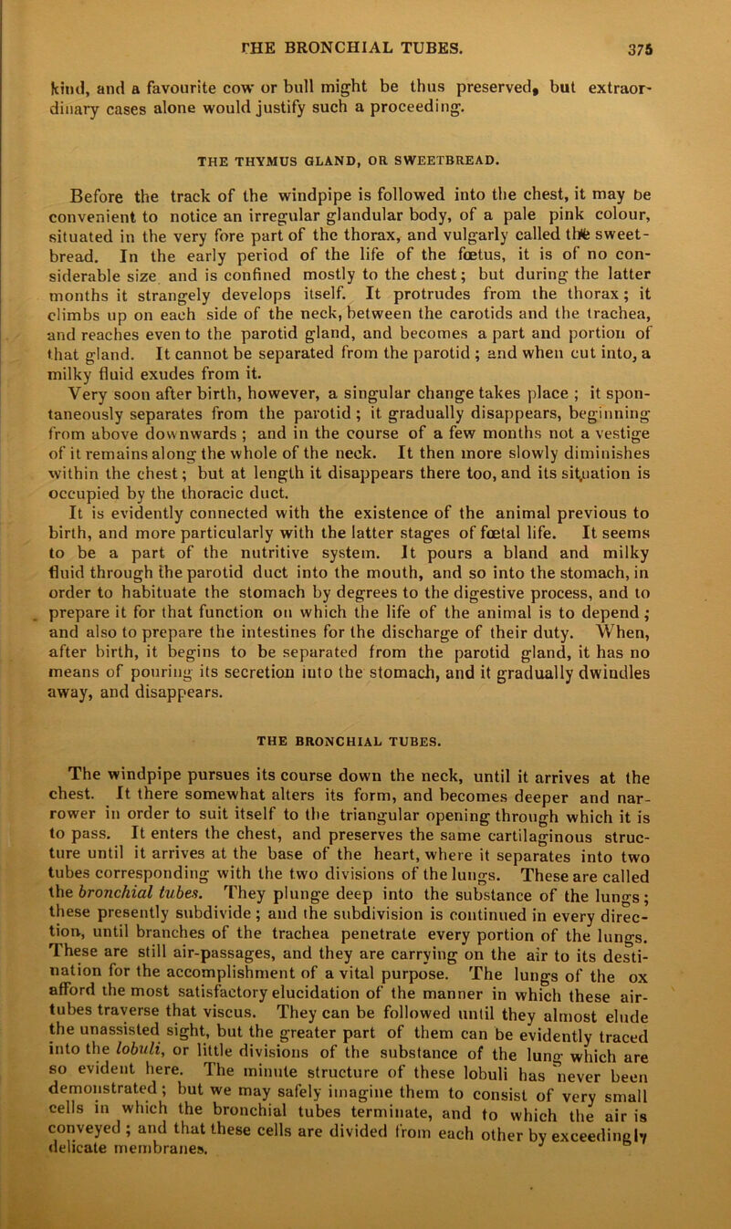 kind, and a favourite cow or bull might be thus preserved, but extraor- dinary cases alone would justify such a proceeding. THE THYMUS GLAND, OR SWEETBREAD. Before the track of the windpipe is followed into the chest, it may be convenient to notice an irregular glandular body, of a pale pink colour, situated in the very fore part of the thorax, and vulgarly called thfe sweet- bread. In the early period of the life of the foetus, it is of no con- siderable size and is confined mostly to the chest; but during the latter months it strangely develops itself. It protrudes from the thorax; it climbs up on each side of the neck, between the carotids and the trachea, and reaches even to the parotid gland, and becomes a part and portion of that gland. It cannot be separated from the parotid ; and when cut into, a milky fluid exudes from it. Very soon after birth, however, a singular change takes place ; it spon- taneously separates from the parotid ; it gradually disappears, beginning from above downwards ; and in the course of a few months not a vestige of it remains along the whole of the neck. It then more slowly diminishes within the chest; but at length it disappears there too, and its situation is occupied by the thoracic duct. It is evidently connected with the existence of the animal previous to birth, and more particularly with the latter stages of foetal life. It seems to be a part of the nutritive system. It pours a bland and milky fluid through the parotid duct into the mouth, and so into the stomach, in order to habituate the stomach by degrees to the digestive process, and to prepare it for that function on which the life of the animal is to depend; and also to prepare the intestines for the discharge of their duty. When, after birth, it begins to be separated from the parotid gland, it has no means of pouring its secretion into the stomach, and it gradually dwindles away, and disappears. THE BRONCHIAL TUBES. The windpipe pursues its course down the neck, until it arrives at the chest. It there somewhat alters its form, and becomes deeper and nar- rower in order to suit itself to the triangular opening through which it is to pass. It enters the chest, and preserves the same cartilaginous struc- ture until it arrives at the base of the heart, where it separates into two tubes corresponding with the two divisions of the lungs. These are called the bronchial tubes. They plunge deep into the substance of the lungs; these presently subdivide; and the subdivision is continued in every direc- tion, until branches of the trachea penetrate every portion of the lungs. These are still air-passages, and they are carrying on the air to its desti- nation for the accomplishment of a vital purpose. The lungs of the ox afford the most satisfactory elucidation of the manner in which these air- tubes traverse that viscus. They can be followed until they almost elude the unassisted sight, but the greater part of them can be evidently traced into the lobuli, or little divisions of the substance of the luno- which are so evident here. The minute structure of these lobuli has *never been demonstrated ; but we may safely imagine them to consist of very small cells in which the bronchial tubes terminate, and to which the air is conveyed ; and that these cells are divided from each other by exceedingly delicate membranes. J