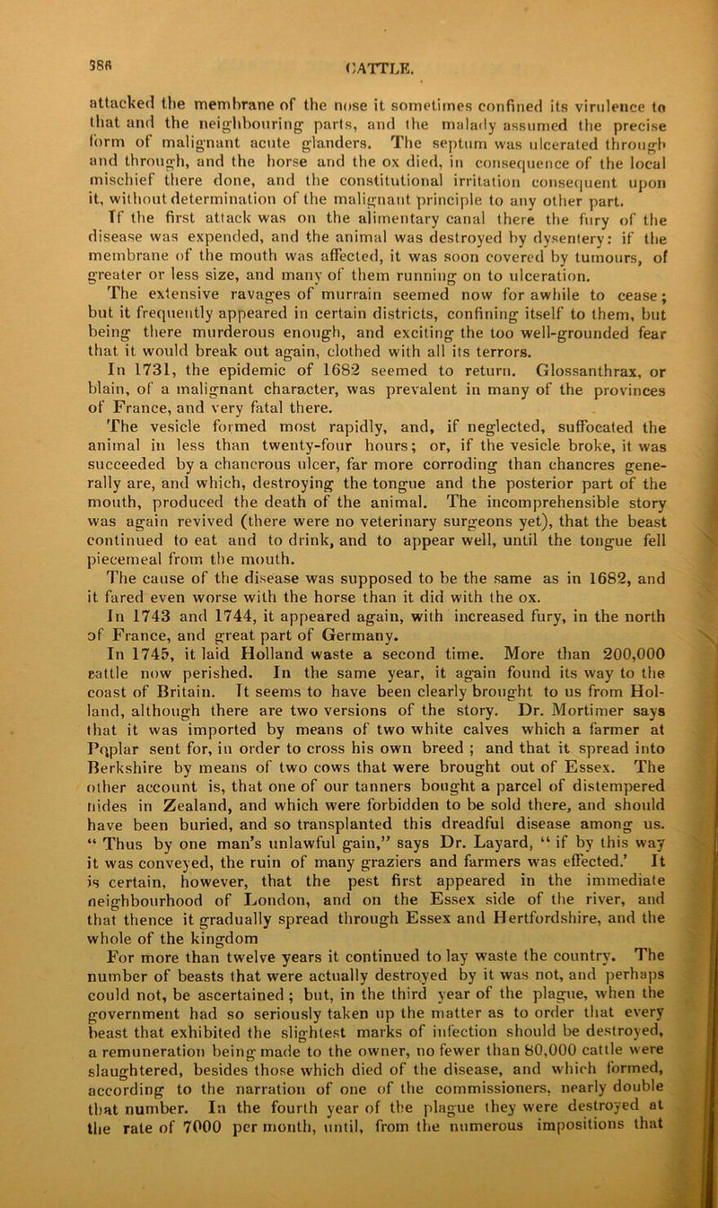 38R attacked the membrane of the nose it sometimes confined its virulence to that and the neighbouring1 parts, and the malady assumed the precise form of malignant acute glanders. The septum was ulcerated through and through, and the horse and the ox died, in consequence of the local mischief there done, and the constitutional irritation consequent upon it, without determination of the malignant principle to any other part. If the first attack was on the alimentary canal there the fury of the disease was expended, and the animal was destroyed by dysentery: if the membrane of the mouth was affected, it was soon covered by tumours, of greater or less size, and many of them running on to ulceration. The extensive ravages of murrain seemed now for awhile to cease; but it frequently appeared in certain districts, confining itself to them, but being there murderous enough, and exciting the too well-grounded fear that it would break out again, clothed with all its terrors. In 1731, the epidemic of 1682 seemed to return. Glossanthrax, or blain, of a malignant character, was prevalent in many of the provinces of France, and very fatal there. The vesicle formed most rapidly, and, if neglected, suffocated the animal in less than twenty-four hours; or, if the vesicle broke, it was succeeded by a chancrous ulcer, far more corroding than chancres gene- rally are, and which, destroying the tongue and the posterior part of the mouth, produced the death of the animal. The incomprehensible story was again revived (there were no veterinary surgeons yet), that the beast continued to eat and to drink, and to appear well, until the tongue fell piecemeal from the mouth. The cause of the disease was supposed to be the same as in 1682, and it fared even worse with the horse than it did with the ox. In 1743 and 1744, it appeared again, with increased fury, in the north of France, and great part of Germany. In 1745, it laid Holland waste a second time. More than 200,000 cattle now perished. In the same year, it again found its way to the coast of Britain. Tt seems to have been clearly brought to us from Hol- land, although there are two versions of the story. Dr. Mortimer says that it was imported by means of two white calves which a farmer at Po,plar sent for, in order to cross his own breed ; and that it spread into Berkshire by means of two cows that were brought out of Essex. The other account is, that one of our tanners bought a parcel of distempered Hides in Zealand, and which were forbidden to be sold there, and should have been buried, and so transplanted this dreadful disease among us. “ Thus by one man’s unlawful gain,” says Dr. Layard, “ if by this way it was conveyed, the ruin of many graziers and farmers was effected.’ It is certain, however, that the pest first appeared in the immediate neighbourhood of London, and on the Essex side of the river, and that thence it gradually spread through Essex and Hertfordshire, and the whole of the kingdom For more than twelve years it continued to lay waste the country. The number of beasts that were actually destroyed by it was not, and perhaps could not, be ascertained ; but, in the third year of the plague, when the government had so seriously taken up the matter as to order that every beast that exhibited the slightest marks of infection should be destroyed, a remuneration being made to the owner, no fewer than 80,000 cattle were slaughtered, besides those which died of the disease, and which formed, according to the narration of one of the commissioners, nearly double that number. In the fourth year of the plague they were destroyed at the rate of 7000 per month, until, from the numerous impositions that