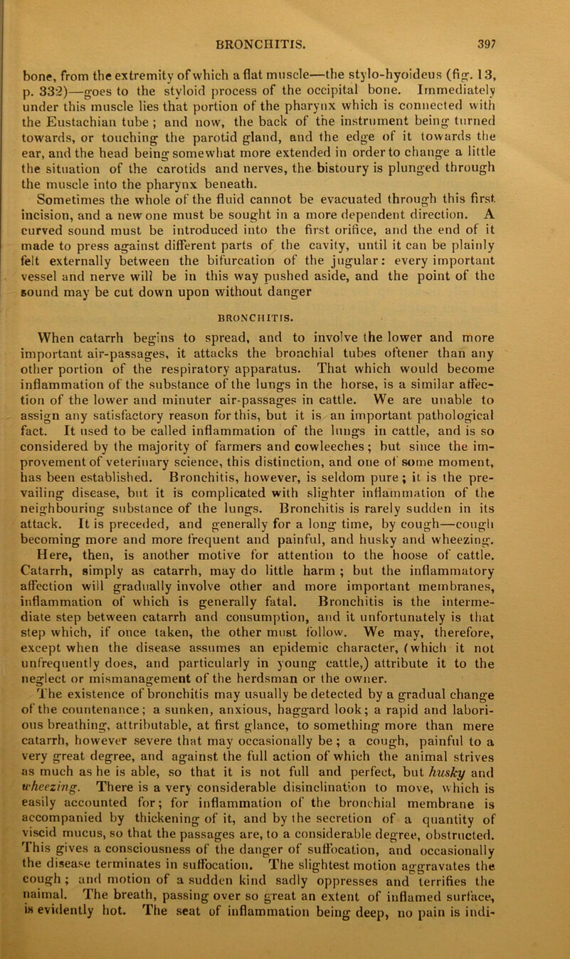 bone, from the extremity of which aflat muscle—the stylo-hyoideus (Apr. 13, p. 332)—goes to the styloid process of the occipital bone. Immediately under this muscle lies that portion of the pharynx which is connected with the Eustachian tube ; and now, the back of the instrument being turned towards, or touching the parotid gland, and the edge of it towards the ear, and the head being somewhat more extended in order to change a little the situation of the carotids and nerves, the bistoury is plunged through the muscle into the pharynx beneath. Sometimes the whole of the fluid cannot be evacuated through this first incision, and a new one must be sought in a more dependent direction. A curved sound must be introduced into the first orifice, and the end of it made to press against different parts of the cavity, until it can be plainly felt externally between the bifurcation of the jugular: every important vessel and nerve will be in this way pushed aside, and the point of the sound may be cut down upon without danger BRONCHITIS. When catarrh begins to spread, and to involve the lower and more important air-passages, it attacks the bronchial tubes oftener than any other portion of the respiratory apparatus. That which would become inflammation of the substance of the lungs in the horse, is a similar affec- tion of the lower and minuter air-passages in cattle. We are unable to assign any satisfactory reason for this, but it is an important pathological fact. It used to be called inflammation of the lungs in cattle, and is so considered by the majority of farmers and cowleeches; but since the im- provement of veterinary science, this distinction, and one of some moment, has been established. Bronchitis, however, is seldom pure; it is the pre- vailing disease, but it is complicated with slighter inflammation of the neighbouring substance of the lungs. Bronchitis is rarely sudden in its attack. It is preceded, and generally for a long time, by cough—cough becoming more and more frequent and painful, and husky and wheezing. Here, then, is another motive for attention to the hoose of cattle. Catarrh, simply as catarrh, may do little harm ; but the inflammatory affection will gradually involve other and more important membranes, inflammation of which is generally fatal. Bronchitis is the interme- diate step between catarrh and consumption, and it unfortunately is that step which, if once taken, the other must follow. We may, therefore, except when the disease assumes an epidemic character, (which it not unfrequently does, and particularly in young cattle,) attribute it to the neglect or mismanagement of the herdsman or the owner. The existence of bronchitis may usually be detected by a gradual change of the countenance; a sunken, anxious, haggard look; a rapid and labori- ous breathing, attributable, at first glance, to something more than mere catarrh, however severe that may occasionally be; a cough, painful to a very great degree, and against the full action of which the animal strives as much as he is able, so that it is not full and perfect, but husky and wheezing. There is a very considerable disinclination to move, which is easily accounted for; for inflammation of the bronchial membrane is accompanied by thickening of it, and by the secretion of a quantity of viscid mucus, so that the passages are, to a considerable degree, obstructed. This gives a consciousness of the danger of suffocation, and occasionally the disease terminates in suffocation. The slightest motion aggravates the. cough ; and motion of a sudden kind sadly oppresses and terrifies the naimal. The breath, passing over so great an extent of inflamed surface, is evidently hot. The seat of inflammation being deep, no pain is indi-