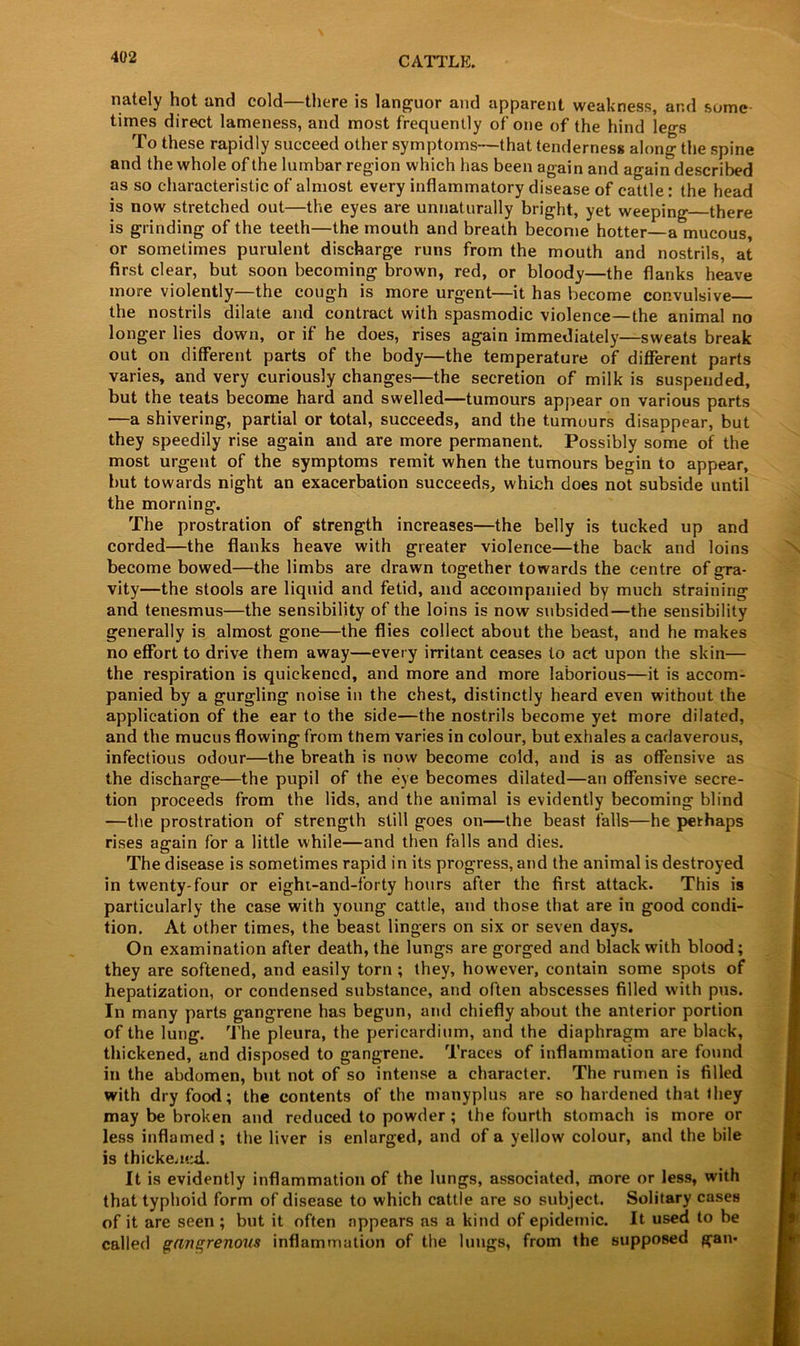 nately hot and cold—there is languor and apparent weakness, and some times direct lameness, and most frequently of one of the hind legs To these rapidly succeed other symptoms—that tenderness along the spine and the whole of the lumbar region which has been again and again described as so characteristic of almost every inflammatory disease of cattle: the head is now stretched out—the eyes are unnaturally bright, yet weeping there is grinding of the teeth—the mouth and breath become hotter—a mucous, or sometimes purulent discharge runs from the mouth and nostrils, at first clear, but soon becoming brown, red, or bloody—the flanks heave more violently—the cough is more urgent—it has become convulsive the nostrils dilate and contract with spasmodic violence—the animal no longer lies down, or if he does, rises again immediately—sweats break out on different parts of the body—the temperature of different parts varies, and very curiously changes—the secretion of milk is suspended, but the teats become hard and swelled—tumours appear on various parts —a shivering, partial or total, succeeds, and the tumours disappear, but they speedily rise again and are more permanent. Possibly some of the most urgent of the symptoms remit when the tumours begin to appear, but towards night an exacerbation succeeds, which does not subside until the morning. The prostration of strength increases—the belly is tucked up and corded—the flanks heave with greater violence—the back and loins become bowed—the limbs are drawn together towards the centre of gra- vity—the stools are liquid and fetid, and accompanied by much straining and tenesmus—the sensibility of the loins is now subsided—the sensibility generally is almost gone—the flies collect about the beast, and he makes no effort to drive them away—every irritant ceases to act upon the skin— the respiration is quickened, and more and more laborious—it is accom- panied by a gurgling noise in the chest, distinctly heard even without the application of the ear to the side—the nostrils become yet more dilated, and the mucus flowing from them varies in colour, but exhales a cadaverous, infectious odour—the breath is now become cold, and is as offensive as the discharge—the pupil of the eye becomes dilated—an offensive secre- tion proceeds from the lids, and the animal is evidently becoming blind —the prostration of strength still goes on—the beast falls—he perhaps rises again for a little while—and then falls and dies. The disease is sometimes rapid in its progress, and the animal is destroyed in twenty-four or eighi-and-forty hours after the first attack. This is particularly the case with young cattle, and those that are in good condi- tion. At other times, the beast lingers on six or seven days. On examination after death, the lungs are gorged and black with blood; they are softened, and easily torn ; they, however, contain some spots of hepatization, or condensed substance, and often abscesses filled with pus. In many parts gangrene has begun, and chiefly about the anterior portion of the lung. The pleura, the pericardium, and the diaphragm are black, thickened, and disposed to gangrene. Traces of inflammation are found in the abdomen, but not of so intense a character. The rumen is filled with dry food; the contents of the manyplus are so hardened that they may be broken and reduced to powder ; the fourth stomach is more or less inflamed; the liver is enlarged, and of a yellow colour, and the bile is thickened. It is evidently inflammation of the lungs, associated, more or less, with that typhoid form of disease to which cattle are so subject. Solitary cases of it are seen ; but it often appears as a kind of epidemic. It used to be called gangrenous inflammation of the lungs, from the supposed gan*