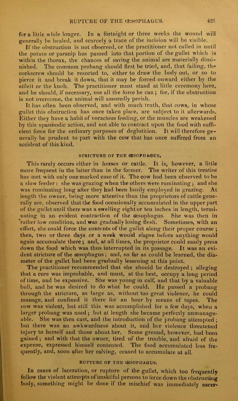 for a little while longer. In a fortnight or three weeks the wound will generally be healed, and scarcely a trace of the incision will be visible. If the obstruction is not observed, or the practitioner not called in until the potato or parsnip has passed into that portion of the gullet which is within the thorax, the chances of saving the animal are materially dimi- nished. The common probang should first be tried, and, that failing, th<* corkscrew should be resorted to, either to draw the body out, or so to pierce it and break it down, that it may be forced onward either by the stilett or the knob. The practitioner must stand at little ceremony here, and he should, if necessary, use all the force he can ; for, if the obstruction is not overcome, the animal will assuredly perish. It has often been observed, and with much truth, that cows, in whose gullet this obstruction has once taken place, are subject to it afterwards. Either they have a habit of voracious feeding, or the muscles are weakened by this spasmodic action, and not able to contract upon the food with suffi- cient force for the ordinary purposes of deglutition. It will therefore ge- nerally be prudent to part with the cow that has once suffered from an accident of this kind. STRICTURE OF THE (ESOPHAGUS. This rarely occurs either in horses or cattle. It is, however, a little more frequent in the latter than in the former. The writer of this treatise has met with only one marked case of it. The cow had been observed to be a slow feeder : she was grazing when the others were ruminating j and she was ruminating long after they had been busily employed in grazing. At length the owner, being more attentive than the proprietors of cattle gene- rally are, observed that the food occasionally accumulated in the upper part of the gullet until there was a swelling eight or ten inches in length, termi- nating in an evident contraction of the oesophagus. She was then in 'rather low condition, and was gradually losing flesh. Sometimes, with an effort, she could force the contents of the gullet along their proper course ; then, two or three days or a week would elapse before anything would again accumulate there ; and, at all times, the proprietor could easily press down the food which was thus interrupted in its passage. It was an evi- dent stricture of the oesophagus; and, so far as could be learned, the dia- meter of the gullet had been gradually lessening at this point. The practitioner recommended that she should be destroyed ; alleging that a cure was improbable, and must, at the best, occupy a long period of time, and be expensive. She was young in calf, and that by a valuable bull, and he was desired to do what he could. He passed a probang through the stricture, as large as, without too great violence, he could manage, and confined it there for an hour by means of tapes. The cow was violent, but still this was accomplished for a few days, when a larger probang was used j but at length she became perfectly unmanage- able. She was then cast, and the introduction of the probang attempted ; but there was an awkwardness about it, and her violence threatened injury to herself and those about her. Some ground, however, had been gained; and with that the owner, tired of the trouble, and afraid of the expense, expressed himself contented. The food accumulated less fre- quently, and, soon after her calving, ceased to accumulate at all. RUPTURE OF THE (ESOPHAGUS. In cases of laceration, or rupture of the gullet, which too frequently follow the violent attempts of'unskilful persons to force down the obstructing body, something might be done if the mischief was immediately ascer-