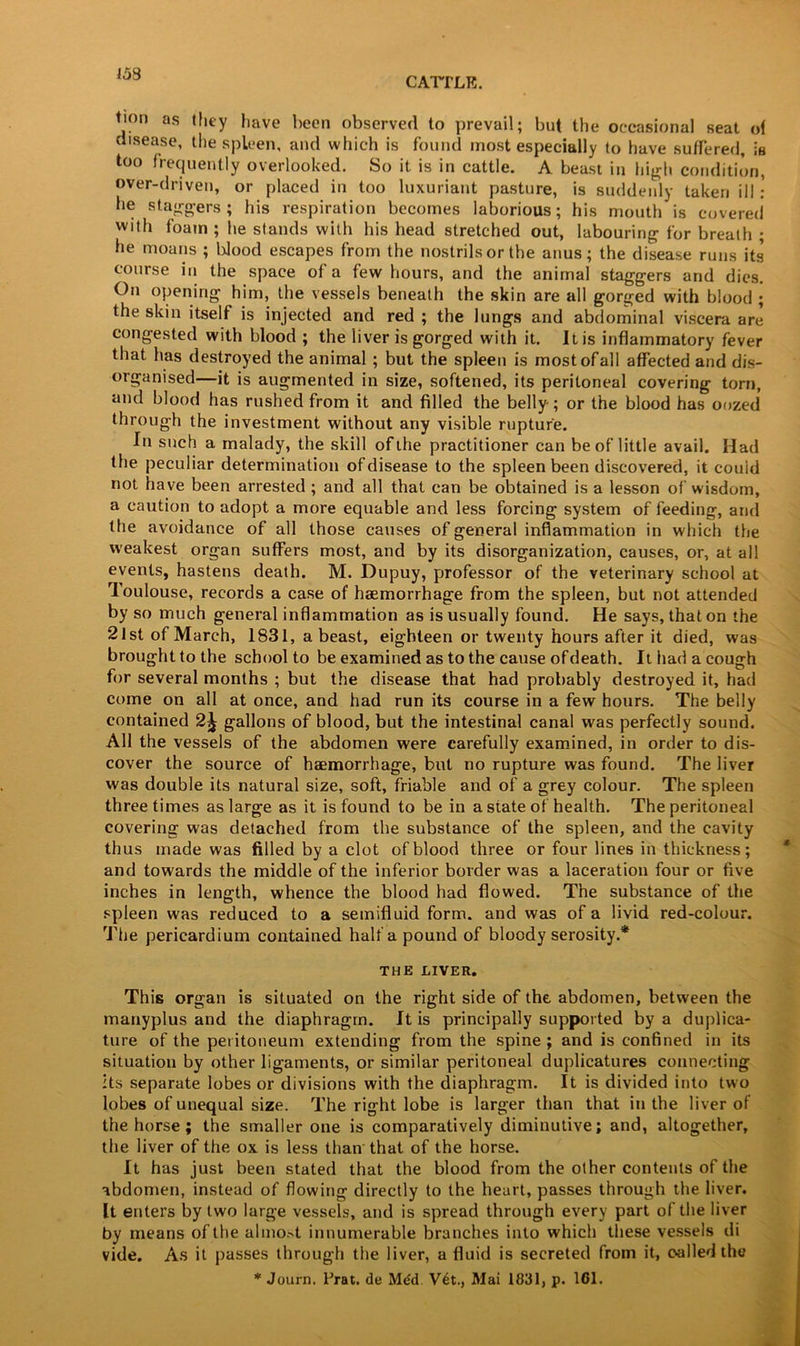 158 CATTLE. Lon as they have been observed to prevail; but the occasional seat ot disease, the spleen, and which is found most especially to have suffered, is too frequently overlooked. So it is in cattle. A beast in high condition, over-driven, or placed in too luxuriant pasture, is suddenly taken ill: he staggers; his respiration becomes laborious; his mouth is covered with foam ; he stands with his head stretched out, labouring for breath ; he moans ; blood escapes from the nostrils or the anus; the disease runs its course in the space of a few hours, and the animal staggers and dies. On opening him, the vessels beneath the skin are all gorged with blood ; the skin itself is injected and red ; the lungs and abdominal viscera are congested with blood ; the liver is gorged with it. It is inflammatory fever that has destroyed the animal ; but the spleen is most of all affected and dis- organised—it is augmented in size, softened, its peritoneal covering torn, and blood has rushed from it and filled the belly; or the blood has oozed through the investment without any visible rupture. In such a malady, the skill of the practitioner can be of little avail. Had the peculiar determination of disease to the spleen been discovered, it couid not have been arrested ; and all that can be obtained is a lesson of wisdom, a caution to adopt a more equable and less forcing system of feeding, and the avoidance of all those causes of general inflammation in which the weakest organ suffers most, and by its disorganization, causes, or, at all events, hastens death. M. Dupuy, professor of the veterinary school at loulouse, records a case of haemorrhage from the spleen, but not attended by so much general inflammation as is usually found. He says, that on the ’2lst of March, 1831, a beast, eighteen or twenty hours after it died, was brought to the school to be examined as to the cause ofdeath. It had a cough for several months ; but the disease that had probably destroyed it, had come on all at once, and had run its course in a few hours. The belly contained 2^ gallons of blood, but the intestinal canal was perfectly sound. All the vessels of the abdomen were carefully examined, in order to dis- cover the source of haemorrhage, but no rupture was found. The liver was double its natural size, soft, friable and of a grey colour. The spleen three times as large as it is found to be in a state of health. The peritoneal covering was detached from the substance of the spleen, and the cavity thus made was filled by a clot of blood three or four lines in thickness; and towards the middle of the inferior border was a laceration four or five inches in length, whence the blood had flowed. The substance of the spleen was reduced to a semifluid form, and was of a livid red-colour. The pericardium contained half a pound of bloody serosity.* THE LIVER. This organ is situated on the right side of the abdomen, between the manyplus and the diaphragm. It is principally supported by a duplica- ture of the peritoneum extending from the spine ; and is confined in its situation by other ligaments, or similar peritoneal duplicatures connecting its separate lobes or divisions with the diaphragm. It is divided into two lobes of unequal size. The right lobe is larger than that in the liver of the horse ; the smaller one is comparatively diminutive; and, altogether, the liver of the ox is less than that of the horse. It has just been stated that the blood from the other contents of the abdomen, instead of flowing directly to the heart, passes through the liver. It enters by two large vessels, and is spread through every part of the liver by means of the almost innumerable branches into which these vessels di vide. As it passes through the liver, a fluid is secreted from it, called the