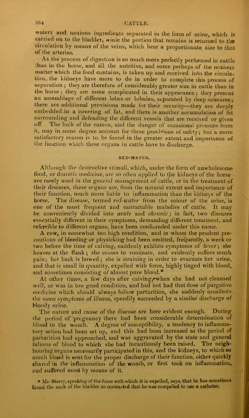 svatery and noxious ingredients separated in the form of urine, which is carried on to the bladder, wmle the portion that remains is returned to the circulation by means of the veins, which bear a proportionate size to that of the arteries. As the process of digestion is so much more perfectly performed in cattle than in the horse, and all the nutritive, and some perhaps of the noxious matter which the food contains, is taken up and received into the circula- tion, the kidneys have more to do in order to complete this process of separation ; they are therefore of considerably greater size in cattle than in the horse; they are more complicated in their appearance; they present an assemblage ot different lobes or lobules, separated by deep scissures; there are additional provisions made for their security—they are deeply embeddeddn a covering of fat, and there is another accumulation of fat surrounding and defending the different vessels that are received or given off. The bulk ot the rumen, and the danger of occasional pressure from it, may in some degree account for these provi«\ons of safety; but a more satisfactory reason is to be found in the greater extent and importance of the function which these organs in cattle have to discharge. RED-WATER. Although the destructive stimuli, which, under the form of unwholesome food, or diuretic medicine, are so often applied to the kidneys of the horse are rarely used in the general management of cattle, or in the treatment of their diseases, these organs are, from the natural extent and importance of their function, much more liable to inflammation than the kidneys of the horse. The disease, termed red-water from the colour of the urine, is one of the most frequent and untractable maladies of cattle. It may be conveniently divided into acute and chronic; in fact, two diseases essentially different in their symptoms, demanding different treatment, and referable to different organs, have been confounded under this name. A cow, in somewhat too high condition, and in whom the prudent pre- cautions of bleeding or physicking had been omitted, frequently, a week or two before the time of calving, suddenly exhibits symptoms of fever; she heaves at the flank ; she ceases to ruminate, and evidently suffers much pain; her back is bowed ; she is straining in order to evacuate her urine, and that is small in quantity, expelled with force, highly tinged with blood, and sometimes consisting of almost pure blood.* At other times, a few days after calving,••when she had not cleansed well, or was in too good condition, and had not had that dose of purgative medicine which should always follow parturition, she suddenly manifests the same symptoms of illness, speedily succeeded by a similar discharge of bloody urine. The nature and cause of the disease are here evident enough. During the period of pregnancy there had been considerable determination of blood to the womb. A degree of susceptibility, a tendency to inflamma- tory action had been set up, and this had been increased as the period of parturition had approached, and was aggravated by the state and general fulness of blood to which she had incautiously been raised. The neigh- bouring organs necessarily participated in this, and the kidneys, to which so much blood is sent for the proper discharge of their function, either quickly shared in the inflammation of the womb, or first took on inflammation* and suffered most by means of it. ♦ Mr. Storry, speaking of the force with which it is expelled, says, that he has sometimes found the neck of the Madder so contracted that he was compelled to use a catheter.