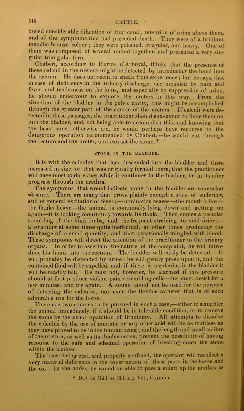 duced considerable dilatation of that canal, retention of urine above them, and all the symptoms that had preceded death. They were of a brilliant metallic bronze colour; they were polished, irregular, and heavy. One of them was composed of several united together, and presented a very sin- gular triangular form. Chabert, according to Hurtrel d’Arboval, thinks that the presence of these calculi in the ureters might be detected by introducing the hand into the rectum. He does not seem to speak from experience ; but he says, that incase of deficiency in the urinary discharge, accompanied by pain and fever, and tenderness on the loins, and especially by suppression of urine, he should endeavour to explore the ureters in this way. From the situation of the bladder in the pelvic cavity, this might be accomplished through the greater part of the course of the ureters. If calculi were de- tected in these passages, the practitioner should endeavour to force them on into the bladder, and, not being able to accomplish this, and knowing that the beast must otherwise die, he would perhaps have recourse to the dangerous operation recommended by Chabert,—he would cut through the rectum and the ureter, and extract the stone.* ' STONE IN THE BLADDER. It is with the calculus that has descended into the bladder and there increased in size, or that was originally formed there, that the practitioner will have most to do either while it continues in the bladder, or in its after progress through the urethra. The symptoms that would indicate stone in the bladder are somewhat obscure. There are many that prove plainly enough a state of suffering, and of general excitation or fever;—rumination ceases—the mouth is hot— the flanks heave—the animal is continually lying down and getting up again—it is looking mournfully towards its flank. Then comes a peculiar trembling of the hind limbs, and the frequent straining to void urine,— a straining at some times quite ineffectual, at other times producing the discharge of a small quantity, and that occasionally mingled with blood. These symptoms will direct the attention of the practitioner to the urinary organs. In order to ascertain the nature of the complaint, he will intro- duce his hand into the rectum. The bladder will easily be detected. It will probably be distended by urine : he will gently press upon it, and the contained fluid will be expelled, and if there is a calculus in the bladder it will be readily felt. He must not, however, be alarmed if this pressure should at first produce violent pain resembling colic—he must desist for a few minutes, and try again. A sound could not be used for the purpose of detecting the calculus, nor even the flexible catheter that is of such admirable use for the horse. There are two courses to be pursued in such a case,—either to slaughter the animal immediately, if it should be in tolerable condition, or to remove the stone by the usual operation of lithotomy. All attempts to dissolve the calculus by the use of muriatic or any other acid will be as fruitless as they have proved to be in the human being; and the length and small calibre of the urethra, as well as its double curve, prevent the possibility of having recourse to the safe and effectual operation of breaking down the stone within the bladder. The beast being cast, and properly confined, the operator will recollect a very material difference in the construction of these parts in the horse and tfip ox. In the horse, he would be able to pass a stilett up the urethra as