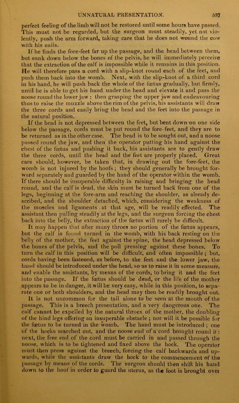 UNNATURAL PRESENTATION. f>.?7 perfect feeling of the limb will not be restored until some hours have passed, This must not be regarded, but the surgeon must steadily, yet not vio- lently, push the arm forward, taking care that he does not wound the cow with his nails. If he finds the fore-feet far up the passage, and the head between them, but sunk down below the bones of the pelvis, he will immediately perceive that the extraction of the calf is impossible while it remains in this position. He will therefore pass a cord with a slip-knot round each of the feet, and push them back into the womb. Next, with the slip-knot of a third cord in his hand, he will push back the whole of the foetus gradually, but firmly, until he is able to get his hand under the head and elevate it and pass the noose round the lower jaw : then grasping the upper jaw and endeavouring thus to raise the muzzle above the rim of the pelvis, his assistants will draw the three cords and easily bring the head and the feet into the passage in the natural position. If the head is not depressed between the feet, but bent down on one side below the passage, cords must be put round the fore-feet, and they are to be returned as in the other case. The head is to be sought out, and a noose passed round the jaw, and then the operator putting his hand against the chest of the foetus and pushing it back, his assistants are to gently draw the three cords, until the head and the feet are properly placed. Great care should, however, be taken that, in drawing out the fore-feet, the womb is not injured by the hoofs ; they should generally be brought for- ward separately and guarded by the hand of the operator within the womb. If there should be insuperable difficulty in raising and bringing the head round, and the calf is dead, the skin must be turned back from one of the legs, beginning at the fore-arm and reaching the shoulder, as already de- scribed, and the shoulder detached, which, considering the weakness of the muscles and ligaments at that age, will be readily effected. The assistant then pulling steadily at the legs, and the surgeon forcing the chest back into the belly, the extraction of the foetus will rarely be difficult. It may happen that after many throes no portion of the foetus appears, but the calf is found turned in the womb, with his back resting on the belly of the mother, the feet against the spine, the head depressed below the bones of the pelvis, and the poll pressing against these bones. To turn the calf in this position will be difficult, and often impossible ; but, cords having been fastened, as before, to the feet and the lower jaw, the hand should be introduced under the head, so as to raise it in some measure, and enable the assistants, by means of the cords, to bring it and the feet into the passage. If the foetus should be dead, or the life of the mother appears to be in danger, it will be very easy, while in this position, to sepa- rate one or both shoulders, and the head may then be readily brought out. It is not uncommon for the tail alone to be seen at the mouth of the passage. This is a breech presentation, and a very dangerous one. The calf cannot be expelled by the natural throes of the mother, the doubling of the hind legs offering an insuperable obstacle ; nor will it be possible for the foetus to be turned in the womb. The hand must be introduced ; one of the hocks searched out, and the noose end of a cord brought round it: next, the free end of the cord must be carried in and passed through the noose, which is to be tightened and fixed above the hock. The operator must then press against the breech, forcing the calf backwards and up- wards, while the assistants draw the hock to the commencement of the passage by means of the cords. The surgeon should then shift his hand down to the hoof in order to guard the uterus, as the foot is brought over