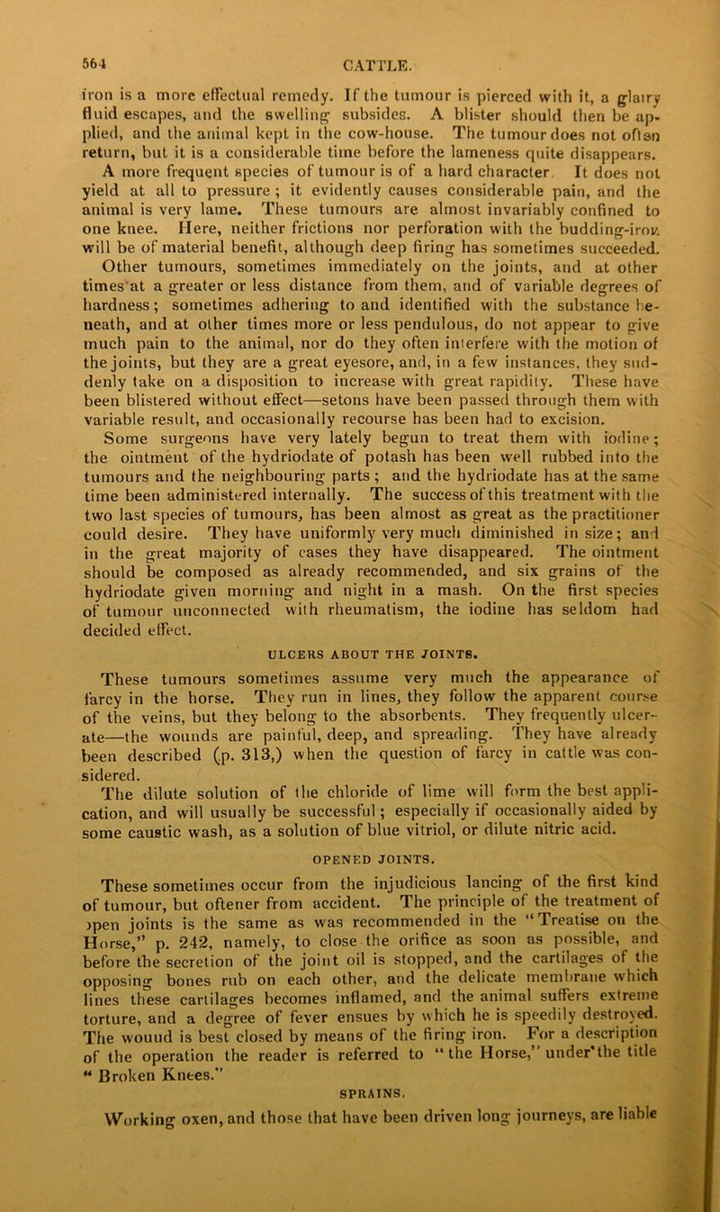 iron is a more effectual remedy. If the tumour is pierced with it, a glairy fluid escapes, and the swelling subsides. A blister should then be ap- plied, and the animal kept in the cow-house. The tumour does not often return, but it is a considerable time before the lameness quite disappears. A more frequent species of tumour is of a hard character, It does not yield at all to pressure ; it evidently causes considerable pain, and the animal is very lame. These tumours are almost invariably confined to one knee. Here, neither frictions nor perforation with the budding-irov, will be of material benefit, although deep firing has sometimes succeeded. Other tumours, sometimes immediately on the joints, and at other times'at a greater or less distance from them, and of variable degrees of hardness; sometimes adhering to and identified with the substance be- neath, and at other times more or less pendulous, do not appear to give much pain to the animal, nor do they often interfere with the motion of the joints, but they are a great eyesore, and, in a few instances, they sud- denly take on a disposition to increase with great rapidity. These have been blistered without effect—setons have been passed through them with variable result, and occasionally recourse has been had to excision. Some surgeons have very lately begun to treat them with iodine; the ointment of the hydriodate of potash has been well rubbed into the tumours and the neighbouring parts ; and the hydriodate has at the same time been administered internally. The success of this treatment with the two last species of tumours, has been almost as great as the practitioner could desire. They have uniformly very much diminished in size; and in the great majority of cases they have disappeared. The ointment should be composed as already recommended, and six grains of the hydriodate given morning and night in a mash. On the first species of tumour unconnected with rheumatism, the iodine has seldom had decided effect. ULCERS ABOUT THE JOINTS. These tumours sometimes assume very much the appearance of farcy in the horse. They run in lines, they follow the apparent course of the veins, but they belong to the absorbents. They frequently ulcer- ate—the wounds are painful, deep, and spreading. They have already been described (p. 313,) when the question of farcy in cattle was con- sidered. The dilute solution of the chloride of lime will form the best appli- cation, and will usually be successful; especially if occasionally aided by some caustic wash, as a solution of blue vitriol, or dilute nitric acid. OPENED JOINTS. These sometimes occur from the injudicious lancing of the first kind of tumour, but oftener from accident. The principle of the treatment of jpen joints is the same as was recommended in the “Treatise on the Horse,” p. 242, namely, to close the orifice as soon as possible, and before the secretion of the joint oil is stopped, and the cartilages of the opposing bones rub on each other, and the delicate membrane which lines these cartilages becomes inflamed, and the animal suffers extreme torture, and a degree of fever ensues by which he is speedily destroyed. The wouud is best closed by means of the firing iron. For a description of the operation the reader is referred to “the Horse,’ under’the title “ Broken Knees/’ SPRAINS. Working oxen, and those that have been driven long journeys, are liable