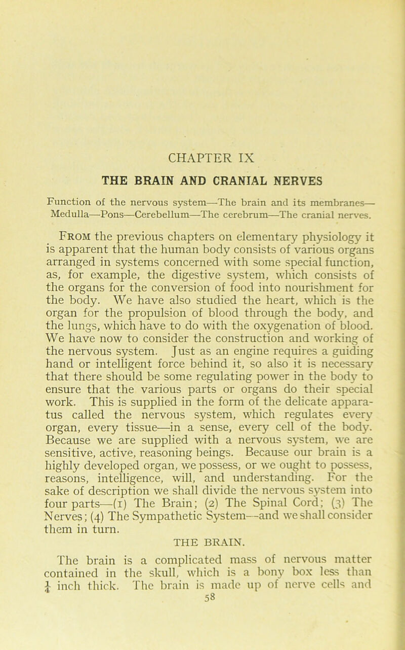 THE BRAIN AND CRANIAL NERVES Function of the nervous system—-The brain and its membranes— Medulla—Pons—Cerebellum—The cerebrum—The cranial nerves. From the previous chapters on elementary physiology it is apparent that the human body consists of various organs arranged in systems concerned with some special function, as, for example, the digestive system, which consists of the organs for the conversion of food into nourishment for the body. We have also studied the heart, which is the organ for the propulsion of blood through the body, and the lungs, which have to do with the oxygenation of blood. We have now to consider the construction and working of the nervous system. Just as an engine requires a guiding hand or intelligent force behind it, so also it is necessary that there should be some regulating power in the body to ensure that the various parts or organs do their special work. This is supplied in the form of the delicate appara- tus called the nervous system, which regulates every organ, every tissue—in a sense, every cell of the body. Because we are supplied with a nervous system, we are sensitive, active, reasoning beings. Because our brain is a highly developed organ, we possess, or we ought to possess, reasons, intelligence, will, and understanding. For the sake of description we shall divide the nervous system into four parts—(i) The Brain; (2) The Spinal Cord; (3) The Nerves; (4) The Sympathetic System—and we shall consider them in turn. THE BRAIN. The brain is a complicated mass of nervous matter contained in the skull, which is a bony box less than inch thick. The brain is made up of nerve cells and