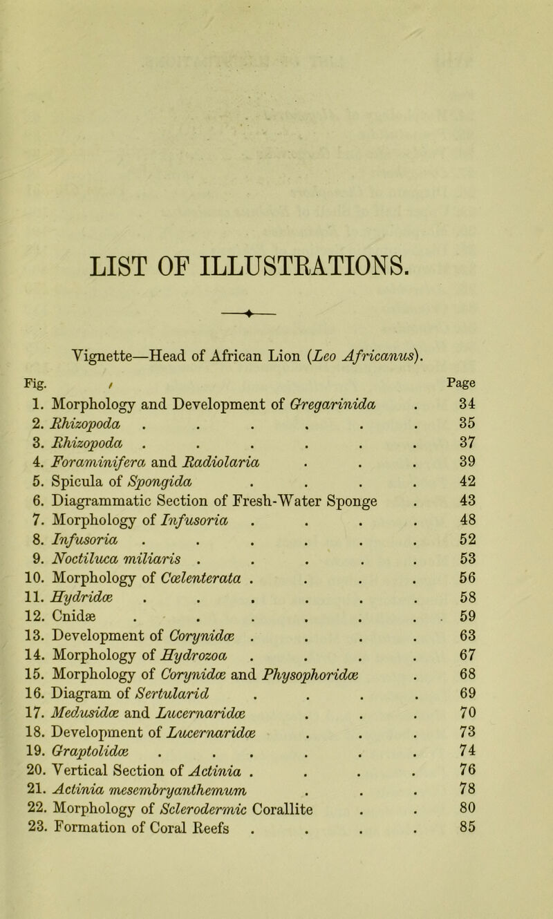 LIST OF ILLUSTEATIONS. ♦ Vignette—Head of African Lion {Leo Africanus). Fig. , Page 1. Morphology and Development of Chregarinida . 34 2. Rhizopoda ...... 35 3. Rhizopoda ...... 37 4. Foraminifera and Radiolaria ... 39 5. Spicula of Spongida . . . . 42 6. Diagrammatic Section of Fresh-Water Sponge . 43 7. Morphology of Infusoria .... 48 8. Infusoria . . . . . .52 9. Noctiluca miliaris ... . . 53 10. Morphology of Coelenterata .... 56 11. Hydrides ...... 58 12. Cnidae . . . . . . . 59 13. Development of Corynidoe .... 63 14. Morphology of Hydrozoa . . . .67 15. Morphology of Corynidoe and Physophoridoe . 68 16. Diagram of Sertularid . . . .69 17. Med.usidce and Liicernaridoe . . . 70 18. Development of Litcernaridce . . . 73 19. Graptolidoe . . . . . .74 20. Vertical Section of Actinia . . . . 76 2\. Actinia meserabryanthernurri . . . 78 22. Morphology of Sclerodermic Corallite . . 80 23. Formation of Coral Reefs .... 85