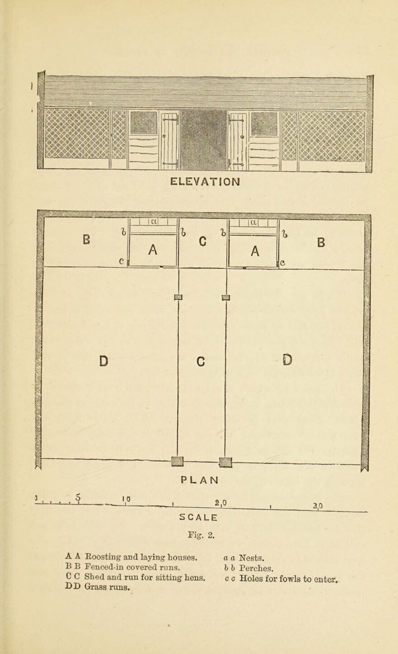 ELEVATION SCALE Fig. 2. A A Eoosting and laying houses. B B Fenced-in covered runs. C C Shed and run for sitting hens. DD Grass runs. a a Nests. b b Perches. c c Holes for fowls to enter,