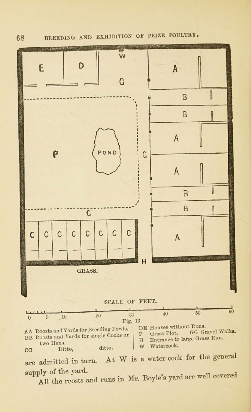 Lajjj-u—— 0 5 .10 SCALE OF FEET. i U- 20 30 Fig. 13. ■ « 40 50 60 AA Roosts and Yards for Breeding Fowls. DE BB Roosts and Yards for single Cocks or two Hens. CC Ditto, ditto. w are admitted in turn. At W is a Houses without Runs. Grass Plot. GG Gravel Walks. Entrance to large Grass Run. Watercock. water-cock for tlie general supply of the yard. All the roosts and runs in Mr. Boyle’s yard are well covered