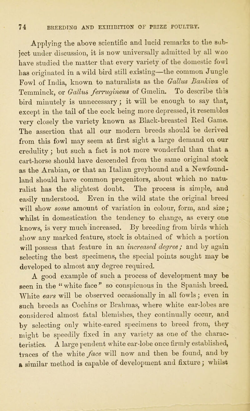 Applying the above scientific and lucid remarks to the sub- ject under discussion, it is now universally admitted by all wno have studied the matter that every variety of the domestic fowl has originated in a wild bird still existing—the common Jungle Fowl of India, known to naturalists as the Gallus Bankiva of Temminck, or Gcdlus ferrugineus of Ganelin. To describe this bird minutely is unnecessary ; it will be enough to say that, except in the tail of the cock being more depressed, it resembles very closely the variety known as Black-breasted Bed Game. The assertion that all our modern breeds should be derived from this fowl may seem at first sight a large demand on our credulity ’ but such a fact is not more wonderful than that a cart-horse should have descended from the same original stock as the Arabian, or that an Italian greyhound and a Newfound- land should have common progenitors, about which no natu- ralist has the slightest doubt. The process is simple, and easily understood. Even in the wild state the original breed will show some amount of variation in colour, form, and size; whilst in domestication the tendency to change, as every one knows, is very much increased. By breeding from birds which show any marked feature, stock is obtained of which a portion will possess that feature in an increased degree; and by again selecting the best specimens, the special points sought may be developed to almost any degree required. A good example of such a process of development may be seen in the “ white face ” so conspicuous in the Spanish breed. White ears will be observed occasionally in all fowls; even in such breeds as Cochins or Brahmas, where white ear-lobes are considered almost fatal blemishes, they continually occur, and by selecting only white-eared specimens to breed from, they might be speedily fixed in any variety as one of the charac- teristics. A large pendent white ear-lobe once firmly established, traces of the white face will now and then be found, and by a similar method is capable of development and fixture; whilst