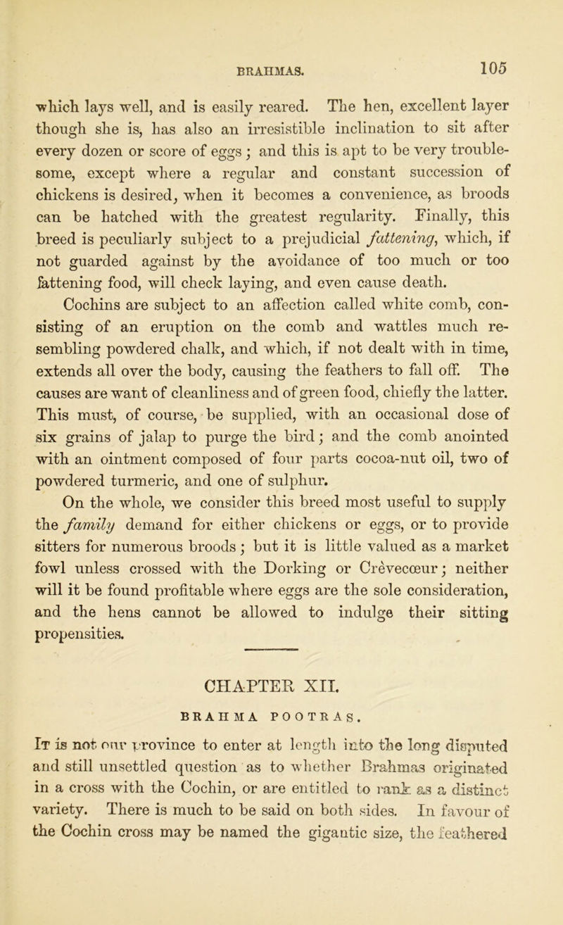 which lays well, and is easily reared. The hen, excellent layer though she is, has also an irresistible inclination to sit after every dozen or score of eggs ; and this is apt to be very trouble- some, except where a regular and constant succession of chickens is desired, when it becomes a convenience, as broods can be hatched with the greatest regularity. Finally, this breed is peculiarly subject to a prejudicial fattening, which, if not guarded against by the avoidance of too much or too fattening food, will check laying, and even cause death. Cochins are subject to an affection called white comb, con- sisting of an eruption on the comb and wattles much re- sembling powdered chalk, and which, if not dealt with in time, extends all over the body, causing the feathers to fall off. The causes are want of cleanliness and of green food, chiefly the latter. This must, of course, be supplied, with an occasional dose of six grains of jalap to purge the bird; and the comb anointed with an ointment composed of four parts cocoa-nut oil, two of powdered turmeric, and one of sulphur. On the whole, we consider this breed most useful to supply the family demand for either chickens or eggs, or to provide sitters for numerous broods; but it is little valued as a market fowl unless crossed with the Dorking or Crevecoeur; neither will it be found profitable where eggs are the sole consideration, and the hens cannot be allowed to indulge their sitting propensities. CHAPTER XII. BRAHMA POOTRAS. It is not our province to enter at length into the long disputed and still unsettled question as to whether Brahmas originated in a cross with the Cochin, or are entitled to rank as a distinct variety. There is much to be said on both sides. In favour of the Cochin cross may be named the gigantic size, the feathered