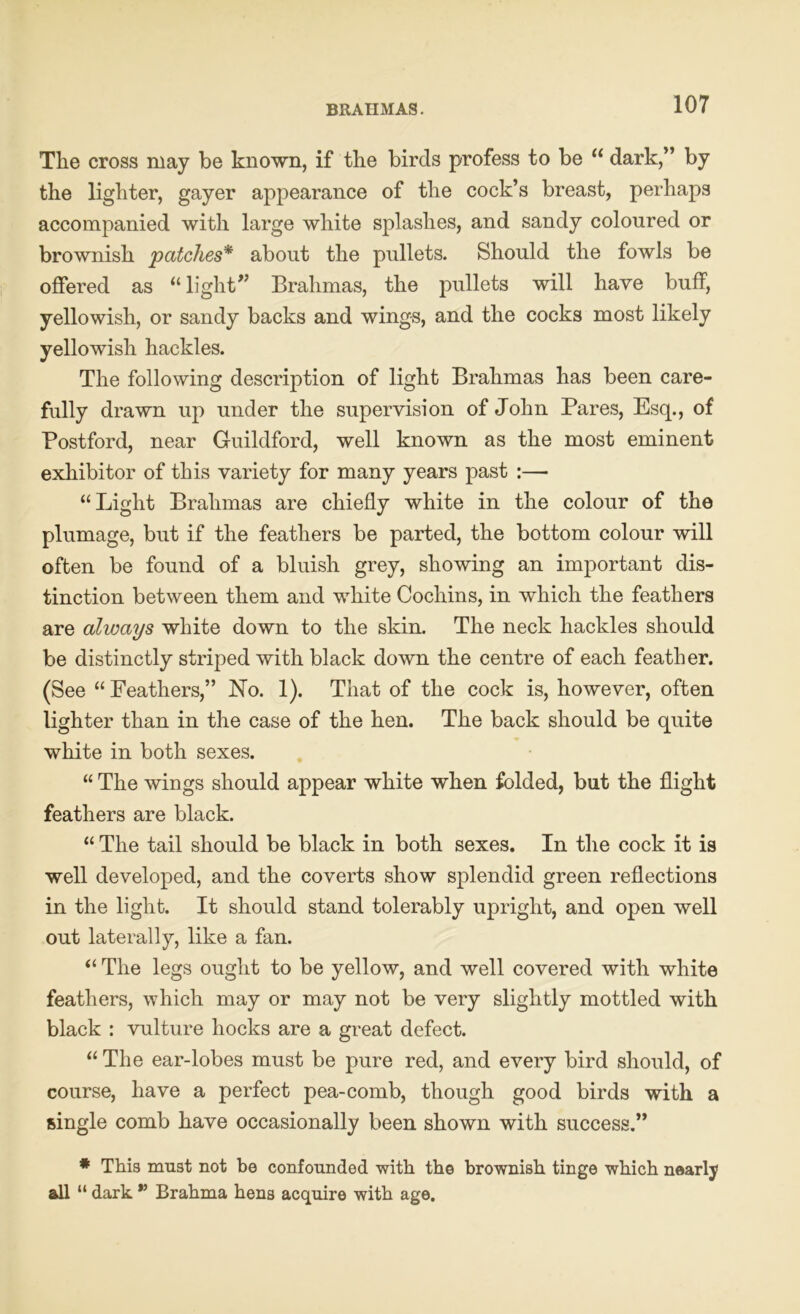 The cross may be known, if the birds profess to be “ dark,” by the lighter, gayer appearance of the cock’s breast, perhaps accompanied with large white splashes, and sandy coloured or brownish patches* about the pullets. Should the fowls be offered as “ light” Brahmas, the pullets will have buff, yellowish, or sandy backs and wings, and the cocks most likely yellowish hackles. The following description of light Brahmas has been care- fully drawn up under the supervision of John Pares, Esq., of Postford, near Guildford, well known as the most eminent exhibitor of this variety for many years past :— “Light Brahmas are chiefly white in the colour of the plumage, but if the feathers be parted, the bottom colour will often be found of a bluish grey, showing an important dis- tinction between them and white Cochins, in which the feathers are always white down to the skin. The neck hackles should be distinctly striped with black down the centre of each feather. (See “ Feathers,” No. 1). That of the cock is, however, often lighter than in the case of the hen. The back should be quite white in both sexes. “ The wings should appear white when folded, but the flight feathers are black. “ The tail should be black in both sexes. In the cock it is well developed, and the coverts show splendid green reflections in the light. It should stand tolerably upright, and open well out laterally, like a fan. “ The legs ought to be yellow, and well covered with white feathers, which may or may not be very slightly mottled with black : vulture hocks are a great defect. “ The ear-lobes must be pure red, and eveiy bird should, of course, have a perfect pea-comb, though good birds with a single comb have occasionally been shown with success.” * This must not be confounded with the brownish tinge which nearly all “ dark *’ Brahma hens acquire with age.