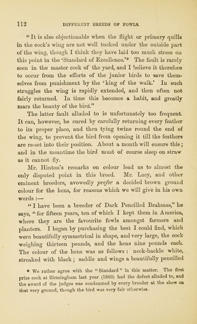 “ It is also objectionable wben tbe flight or primary quills in the cock’s wing are not well tucked under the outside pai*t of the wing, though I think they have laid too much stress on this point in the ‘Standard of Excellence.’* The fault is rarely seen in the master cock of the yard, and I believe it therefore to occur from the efforts of the junior birds to save them- selves from punishment by the ‘king of the walk.’ In such struggles the wing is rapidly extended, and then often not fairly returned. In time this becomes a habit, and greatly mars the beauty of the bird.” The latter fault alluded to is unfortunately too frequent. It can, however, be cured by carefully returning every feather to its proper place, and then tying twine round the end of the wing, to prevent the bird from opening it till the feathers are re-set into their position. About a month will ensure this; and in the meantime the bird must of course sleep on straw as it cannot fly. Mr. Hinton’s remarks on colour lead us to almost the only disputed point in this breed. Mr. Lacy, and other eminent breeders, avowedly prefer a decided brown ground colour for the hens, for reasons which we will give in his own words :— “ I have been a breeder of Dark Pencilled Brahmas,” he says, “for fifteen years, ten of which I kept them in America, where they are the favourite fowls amongst farmers and planters. I began by purchasing the best I could find, which were beautifully symmetrical in shape, and very large, the cock weighing thirteen pounds, and the hens nine pounds each. The colour of the hens was as follows : neck-hackle white, streaked with black; saddle and wings a beautifully pencilled * We rather agree with the “ Standard ” in this matter. The first prize cock at Birmingham last year (1866) had tho defect alluded to, and the award of the judges was condemned by every breeder at the show on that very ground, though the bird was very fair otherwise.