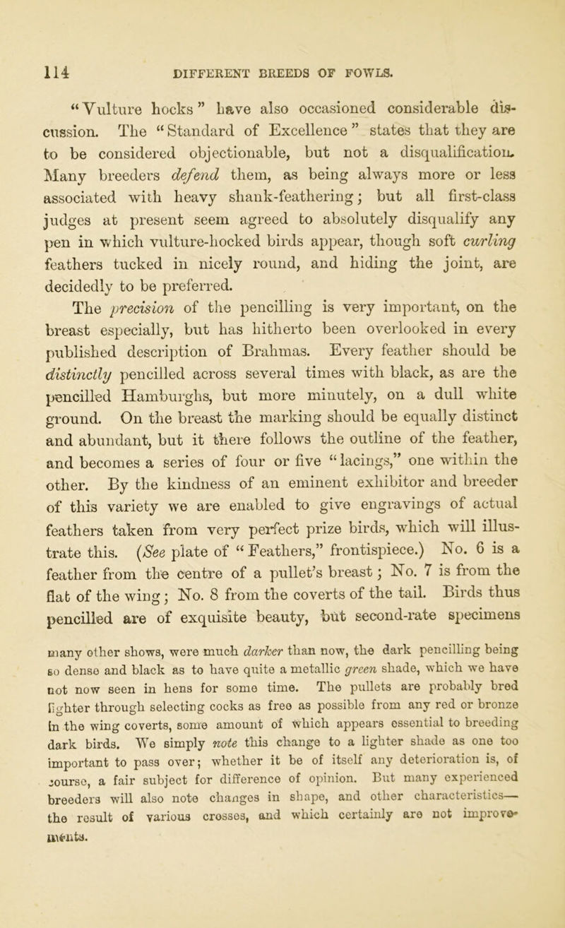 “Vulture hocks” have also occasioned considerable dis- cussion. The “ Standard of Excellence ” states that they are to be considered objectionable, but not a disqualification. Many breeders defend them, as being always more or less associated with heavy shank-feathering; but all first-class judges at present seem agreed to absolutely disqualify any pen in which vulture-liocked birds appear, though soft curling feathers tucked in nicely round, and hiding the joint, are decidedly to be preferred. The precision of the pencilling is very important, on the breast especially, but has hitherto been overlooked in every published description of Brahmas. Every feather should be distinctly pencilled across several times with black, as are the pencilled Hamburghs, but more minutely, on a dull white ground. On the breast the marking should be equally distinct and abundant, but it there follows the outline of the feather, and becomes a series of four or five “ lacings,” one within the other. By the kindness of an eminent exhibitor and breeder of this variety we are enabled to give engravings of actual feathers taken from very perfect prize birds, which will illus- trate this. (See plate of “ Feathers,” frontispiece.) No. 6 is a feather from the centre of a pullet’s breast \ No. 7 is from the flat of the wing; No. 8 from the coverts of the tail. Birds thus pencilled are of exquisite beauty, but second-rate specimens eh any other shows, were much darker than now, the dark pencilling being so dense and black as to have quite a metallic green shade, which we have not now seen in hens for some time. The pullets are probably bred lighter through selecting cocks as free as possible from any red or bronze In the wing coverts, some amount of which appears essential to breeding dark birds. We simply note this change to a lighter shade as one too important to pass over; whether it be of itself any deterioration is, of course, a fair subject for difference of opinion. But many experienced breeders will also note changes in shape, and other characteristics— the result of various crosses, and which certainly are not impro ro- tten ta.