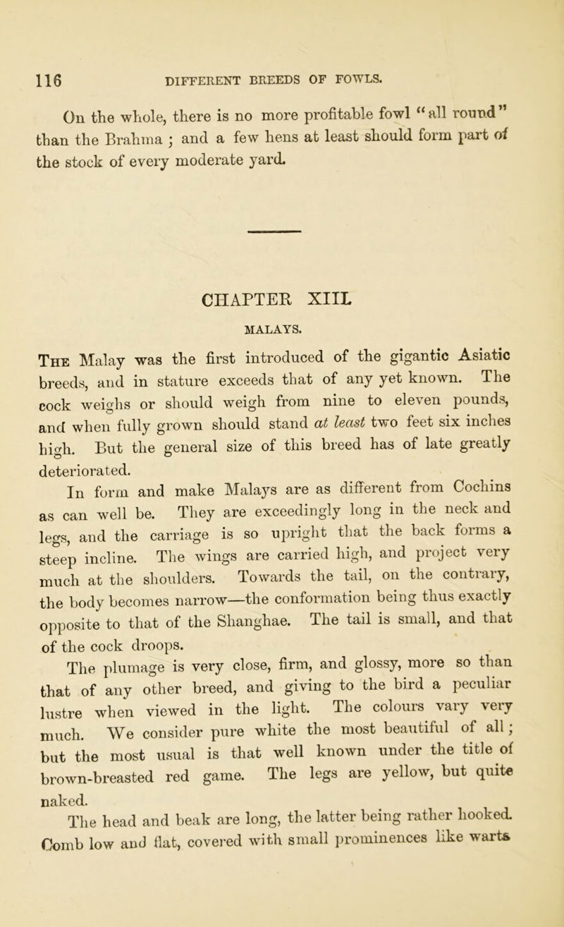 On the whole, there is no more profitable fowl “ all round ” than the Brahma j and a few hens at least should foim part of the stock of every moderate yard. CHAPTER XIIL MALAYS. The Malay was the first introduced of the gigantic Asiatic breeds, and in stature exceeds that of any yet known. The cock weighs or should weigh from nine to ele\ en pounds, and when fully grown should stand at least two feet six inches high. But the general size of this breed has of late greatly deteriorated. In form and make Malays are as different from Cochins as can well be. They are exceedingly long in the neck and legs, and the carriage is so upright that the back forms a steep incline. The wings are carried high, and project very much at the shoulders. Towards the tail, on the contrary, the body becomes narrow—the conformation being thus exactly opposite to that of the Shanghae. The tail is small, and that of the cock droops. The plumage is very close, firm, and glossy, more so than that of any other breed, and giving to the bird a peculiar lustre when viewed in the light. The colours vaiy ‘veiy much. We consider pure white the most beautiful of all; but the most usual is that well known under the title of brown-breasted red game. The legs are yellow, but quite naked. The head and beak are long, the latter being rather hooked. Oomb low and flat, covered with small prominences like warts