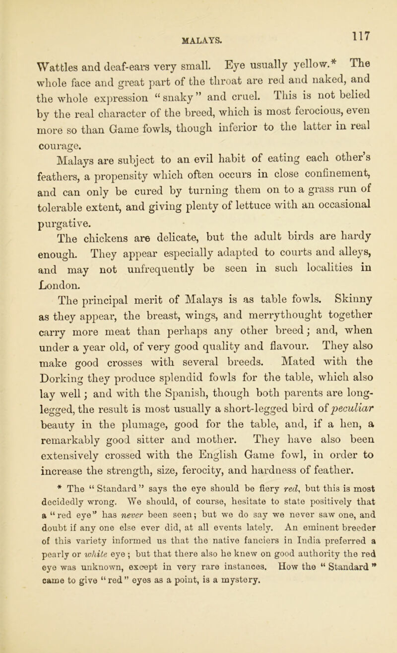 MALAYS. Wattles and deaf-ears very small. Eye usually yellow.* The whole face and great part of the throat are red and naked, and the whole expression “ snaky ” and cruel. This is not belied by the real character of the breed, which is most ferocious, even more so than Game fowls, though inferior to the lattei in ieal courage. Malays are subject to an evil habit of eating each other’s feathers, a propensity which often occurs in close confinement, and can only be cured by turning them on to a grass run of tolerable extent, and giving plenty of lettuce with an occasional purgative. The chickens are delicate, but the adult birds are hardy enough. They appear especially adapted to courts and alleys, and may not unfrequently be seen in such localities in London. The principal merit of Malays is as table fowls. Skinny as they appear, the breast, wings, and merrythought together carry more meat than perhaps any other breed; and, when under a year old, of very good quality and flavour. They also make good crosses with several breeds. Mated with the Dorking they produce splendid fowls for the table, which also lay well; and with the Spanish, though both parents are long- legged, the result is most usually a short-legged bird of peculiar beauty in the plumage, good for the table, and, if a hen, a remarkably good sitter and mother. They have also been extensively crossed with the English Game fowl, in order to increase the strength, size, ferocity, and hardness of feather. * The “ Standard ” says the eye should be fiery red, but this is most decidedly wrong. We should, of course, hesitate to state positively that a “red eye” has never been seen; but we do say we never saw one, and doubt if any one else ever did, at all events lately. An eminent breeder of this variety informed us that the native fanciers in India preferred a pearly or white eye ; but that there also he knew on good authority the red eye was unknown, except in very rare instances. How the “ Standard n came to give “red” eyes as a point, is a mystery.
