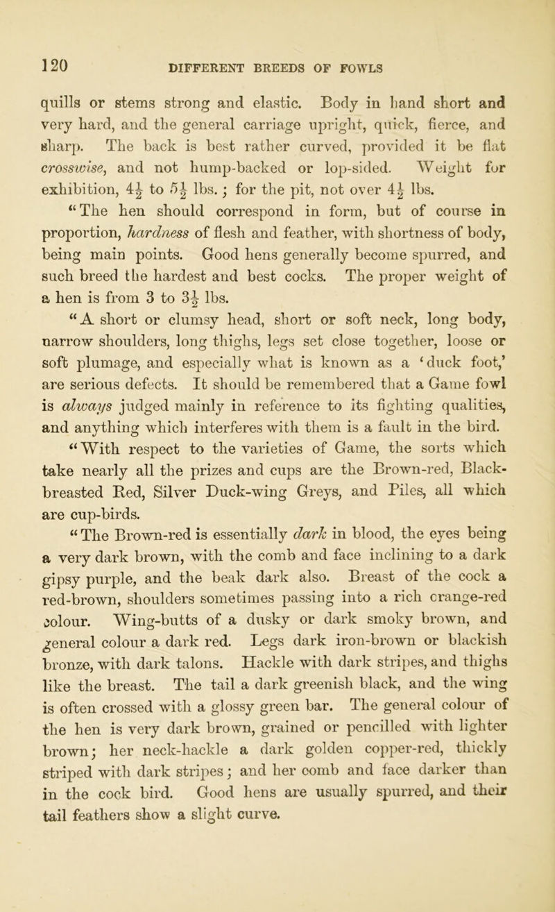 quills or stems strong and elastic. Body in band short and very hard, and the general carriage upright, quick, fierce, and sharp. The back is best rather curved, provided it be flat crosswise, and not hump-backed or lop-sided. Weight for exhibition, 4^ to lbs.; for the pit, not over 4| lbs. ‘‘The hen should correspond in form, but of course in proportion, hardness of flesh and feather, with shortness of body, being main points. Good hens generally become spurred, and such breed t lie hardest and best cocks. The proper weight of a hen is from 3 to 3^ lbs. “A short or clumsy head, short or soft neck, long body, narrow shoulders, long thighs, legs set close together, loose or soft plumage, and especially what is known as a ‘duck foot,’ are serious defects. It should be remembered that a Game fowl is always judged mainly in reference to its fighting qualities, and anything which interferes with them is a fault in the bird. “With respect to the varieties of Game, the sorts which take nearly all the prizes and cups are the Brown-red, Black- breasted Bed, Silver Duck-wing Greys, and Biles, all which are cup-birds. “ The Brown-red is essentially dark in blood, the eyes being a very dark brown, with the comb and face inclining to a dark gipsy purple, and the beak dark also. Breast of the cock a red-brown, shoulders sometimes passing into a rich crange-red colour. Wing-butts of a dusky or dark smoky brown, and general colour a dark red. Legs dark iron-brown or blackish bronze, with dark talons. Hackle with dark stripes, and thighs like the breast. The tail a dark greenish black, and the wing is often crossed with a glossy green bar. The general colour of the hen is very dark brown, grained or pencilled with lighter brown; her neck-hackle a dark golden copper-red, thickly striped with dark stripes; and her comb and face darker than in the cock bird. Good hens are usually spurred, and their tail feathers show a slight curve.