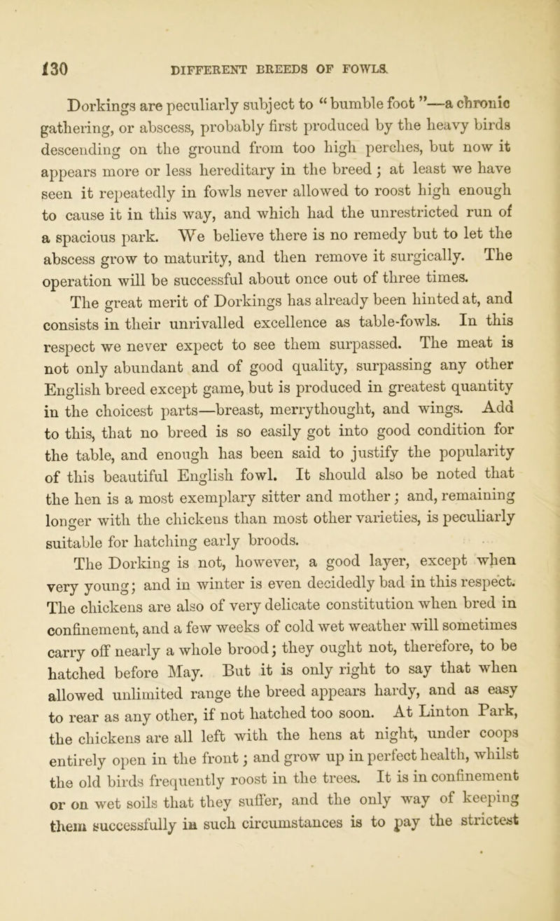 Dorkings are peculiarly subject to “ bumble foot ”—a chronic gathering, or abscess, probably first produced by the heavy birds descending on the ground from too high perches, but now it appears more or less hereditary in the breed ; at least we have seen it repeatedly in fowls never allowed to roost high enough to cause it in this way, and which had the unrestricted run of a spacious park. We believe there is no remedy but to let the abscess grow to maturity, and then remove it surgically. The operation will be successful about once out of three times. The great merit of Dorkings has already been hinted at, and consists in their unrivalled excellence as table-fowls. In this respect we never expect to see them surpassed. The meat is not only abundant and of good quality, surpassing any other English breed except game, but is produced in greatest quantity in the choicest parts—breast, merrythought, and wings. Add to this, that no breed is so easily got into good condition for the table, and enough has been said to justify the popularity of this beautiful English fowl. It should also be noted that the hen is a most exemplary sitter and mother; and, remaining longer with the chickens than most other varieties, is peculiarly suitable for hatching early broods. The Dorking is not, however, a good layer, except when very young; and in winter is even decidedly bad in this respect. The chickens are also of very delicate constitution when bred in confinement, and a few weeks of cold wet weather will sometimes carry off nearly a whole brood; they ought not, therefore, to be hatched before May. But it is only right to say that when allowed unlimited range the breed appears hardy, and a3 easy to rear as any other, if not hatched too soon. At Linton Baik, the chickens are all left with the hens at night, under coops entirely open in the front; and grow up in perfect health, whilst the old birds frequently roost in the trees. It is in confinement or on wet soils that they suffer, and the only way of keeping them successfully in such circumstances is to pay the strictest
