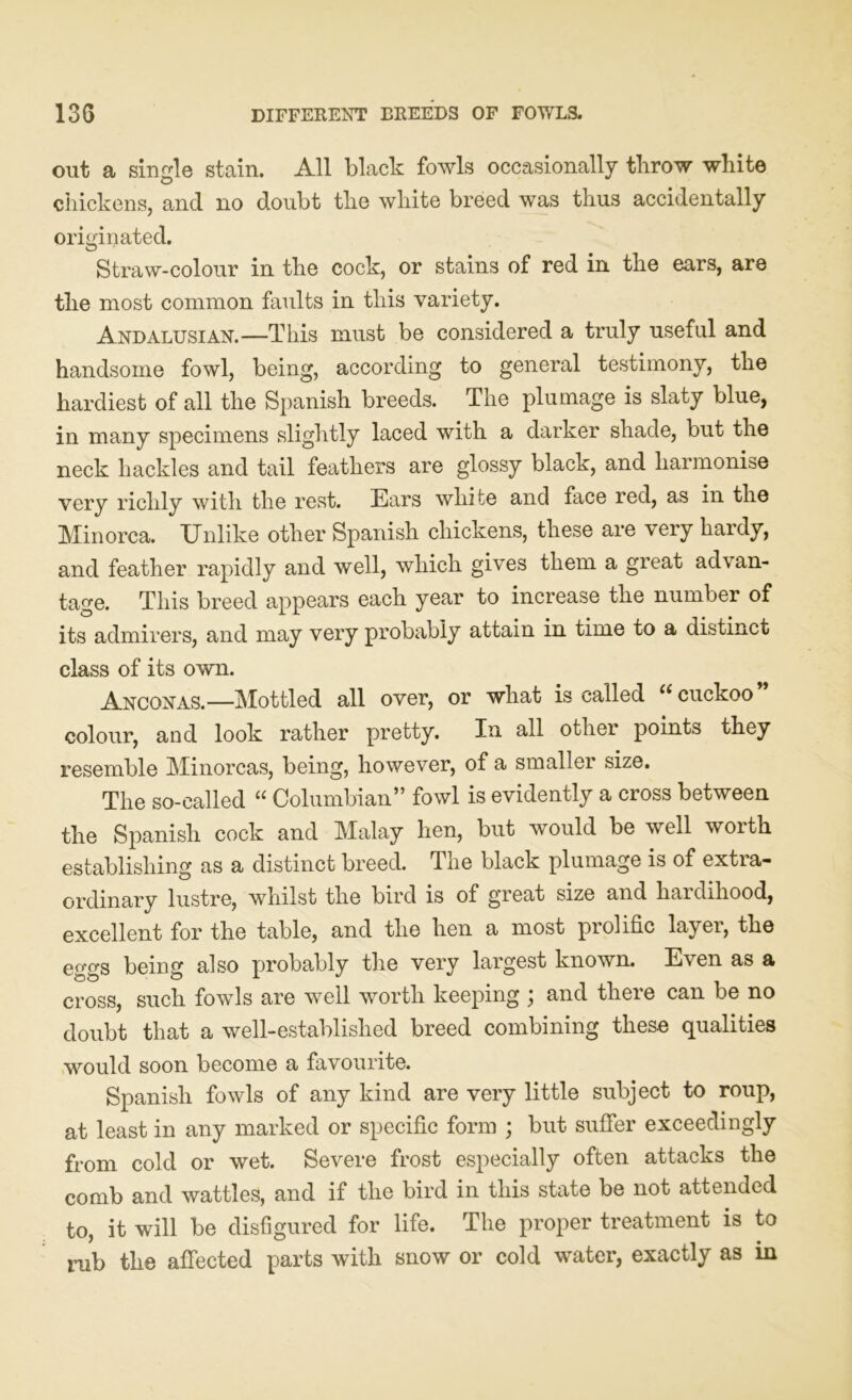 out a single stain. All black fowls occasionally throw white chickens, and no doubt the white breed was thus accidentally originated. Straw-colour in the cock, or stains of red in the ears, are the most common faults in this variety. Andalusian.—This must be considered a truly useful and handsome fowl, being, according to general testimony, the hardiest of all the Spanish breeds. The plumage is slaty blue, in many specimens slightly laced with a darker shade, but the neck hackles and tail feathers are glossy black, and harmonise very richly with the rest. Ears white and face red, as in the Minorca. Unlike other Spanish chickens, these are very hardy, and feather rapidly and well, which gives them a great advan- tage. This breed appears each year to increase the number of its admirers, and may very probably attain in time to a distinct class of its own. Anconas.—Mottled all over, or what is called (i cuckoo colour, and look rather pretty. In all other points they resemble Minorcas, being, however, of a smaller size. The so-called “ Columbian” fowl is evidently a cross between the Spanish cock and Malay hen, but would be well worth establishing as a distinct breed. The black plumage is of extra- ordinary lustre, whilst the bird is of great size and hardihood, excellent for the table, and the hen a most prolific layer, the ecms being also probably the very largest known. Even as a cross, such fowds are well worth keeping ; and there can be no doubt that a well-established breed combining these qualities wmuld soon become a favourite. Spanish fowls of any kind are very little subject to roup, at least in any marked or specific form ; but suffer exceedingly from cold or wet. Severe frost especially often attacks the comb and wattles, and if the bird in this state be not attended to, it will be disfigured for life. The proper treatment is to rub the affected parts with snow or cold water, exactly as in