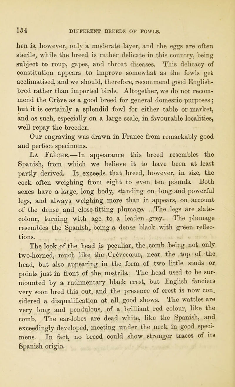 hen is, however, only a moderate layer, and the eggs are often sterile, while the breed is rather delicate in this country, being subject to roup, gapes, and throat diseases. This delicacy of constitution appears to improve somewhat as the fowls get acclimatised, and we should, therefore, recommend good English- bred rather than imported birds. Altogether, we do not recom- mend the Creve as a good breed for general domestic purposes; but it is certainly a splendid fowl for either table or market, and as such, especially on a large scale, in favourable localities, well repay the breeder. Our engraving was drawn in France from remarkably good and perfect specimens. La. Eleche.—In appearance this breed resembles the Spanish, from which we believe it to have been at least partly derived. It exceeds that breed, however, in size, the cock often weighing from eight to even ten pounds. Both sexes have a large, long body, standing on long and powerful legs, and always weighing more than it appears, on account of the dense and close-fitting plumage. The legs are slate- colour, turning with age to a leaden grey. The plumage resembles the Spanish, being a dense black with green reflec- tions. The look of the head is peculiar, the comb being not only two-horned, much like the Crevecceur, near the top of the head, but also appearing in the form of two little studs or points just in front of the nostrils. The head used to be sur- mounted by a rudimentary black crest, but English fanciers very soon bred this out, and the presence of crest is now con. sidered a disqualification at all good shows. The wattles are very long and pendulous, of a brilliant red colour, like the comb. The ear-lobes are dead white, like the Spanish, and exceedingly developed, meeting under the neck in good speci- mens. In fact, no breed could show stronger traces of its Spanish origin.
