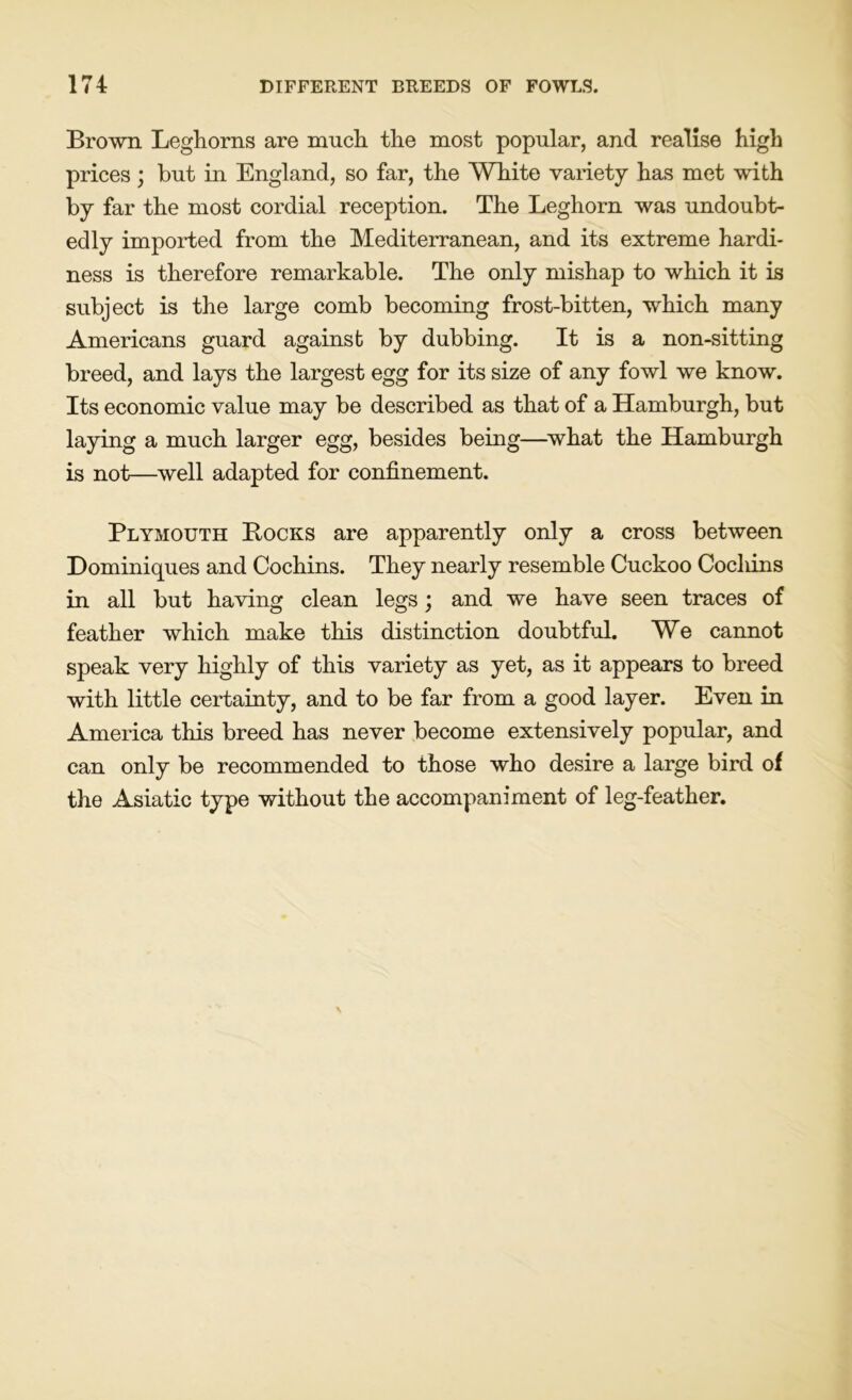 Brown Leghorns are much the most popular, and realise high prices; but in England, so far, the White variety has met with by far the most cordial reception. The Leghorn was undoubt- edly imported from the Mediterranean, and its extreme hardi- ness is therefore remarkable. The only mishap to which it is subject is the large comb becoming frost-bitten, which many Americans guard against by dubbing. It is a non-sitting breed, and lays the largest egg for its size of any fowl we know. Its economic value may be described as that of a Hamburgh, but laying a much larger egg, besides being—what the Hamburgh is not—well adapted for confinement. Plymouth Bocks are apparently only a cross between Dominiques and Cochins. They nearly resemble Cuckoo Cocliins in all but having clean legs; and we have seen traces of feather which make this distinction doubtful. We cannot speak very highly of this variety as yet, as it appears to breed with little certainty, and to be far from a good layer. Even in America this breed has never become extensively popular, and can only be recommended to those who desire a large bird of the Asiatic type without the accompaniment of leg-feather.