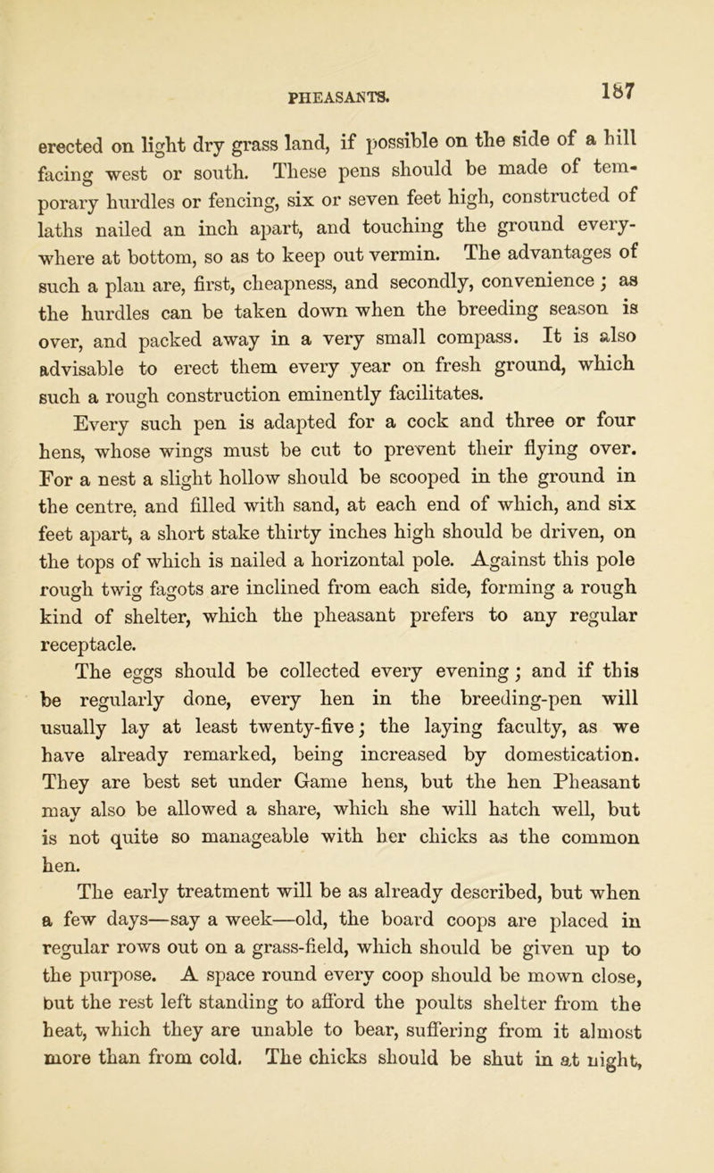 erected on light dry grass land, if possible on the side of a hill facing west or south. These pens should be made of tem- porary hurdles or fencing, six or seven feet high, constructed of laths nailed an inch apart, and touching the ground every- where at bottom, so as to keep out vermin. The advantages of such a plan are, first, cheapness, and secondly, convenience ; as the hurdles can be taken down when the breeding season is over, and packed away in a very small compass. It is also advisable to erect them every year on fresh ground, which such a rough construction eminently facilitates. Every such pen is adapted for a cock and three or four hens, whose wings must be cut to prevent their flying over. For a nest a slight hollow should be scooped in the ground in the centre, and filled with sand, at each end of which, and six feet apart, a short stake thirty inches high should be driven, on the tops of which is nailed a horizontal pole. Against this pole rough twig fagots are inclined from each side, forming a rough kind of shelter, which the pheasant prefers to any regular receptacle. The eggs should be collected every evening; and if this be regularly done, every hen in the breeding-pen will usually lay at least twenty-five; the laying faculty, as we have already remarked, being increased by domestication. They are best set under Game hens, but the hen Pheasant mav also be allowed a share, which she will hatch well, but is not quite so manageable with her chicks as the common hen. The early treatment will be as already described, but when a few days—say a week—old, the board coops are placed in regular rows out on a grass-field, which should be given up to the purpose. A space round every coop should be mown close, but the rest left standing to afford the poults shelter from the heat, which they are unable to bear, suffering from it almost more than from cold. The chicks should be shut in at night.