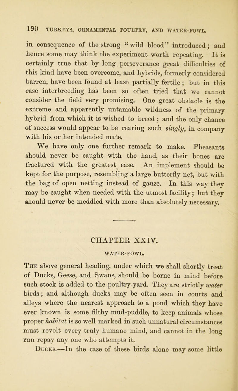 in consequence of the strong “ wild blood” introduced; and hence some may think the experiment worth repeating. It is certainly true that by long perseverance great difficulties of this kind have been overcome, and hybrids, formerly considered barren, have been found at least partially fertile; but in this case interbreeding has been so often tried that we cannot consider the field very promising. One great obstacle is the extreme and apparently untamable wildness of the primary hybrid from which it is wished to breed; and the only chance of success would appear to be rearing such singly, in company with his or her intended mate. We have only one further remark to make. Pheasants should never be caught with the hand, as their bones are fractured with the greatest ease. An implement should be kept for the purpose, resembling a large butterfly net, but with the bag of open netting instead of gauze. In this way they may be caught when needed with the utmost facility; but they should never be meddled with more than absolutely necessary. CHAPTER XXIY. WATER-FOWL. The above general heading, under which we shall shortly treat of Ducks, Geese, and Swans, should be borne in mind before such stock is added to the poultry-yard. They are strictly water birds; and although ducks may be often seen in courts and alleys where the nearest approach to a pond which they have ever known is some filthy mud-puddle, to keep animals whose proper habitat is so well marked in such unnatural circumstances must revolt every truly humane mind, and cannot in the long k*un repay any one who attempts it. Ducks.-—In the case of these birds alone may some little