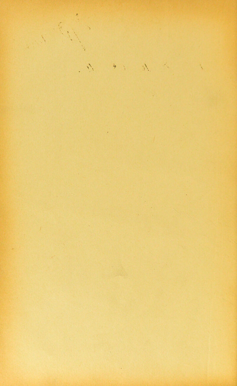 V A •r *> 1 A * • \ \