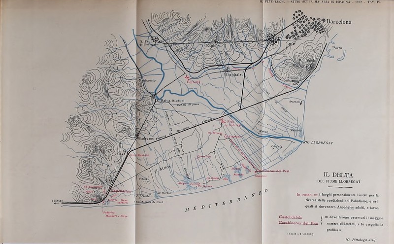I. LOB If EG AT IL DELTA DEL FIUA1E LLOBREGAT Porto J In rosso rz i Iuoghi pcrsonalmcnte visitati per la ricerca delie condizioni del Paludistno, e nei quali si rinvennero Anopheles adulti, o larve. Ca.stelldefels ^ = dove furono osservati il maggior Carahinerns riel Prat ) nnmero di infermi, e fu eseguita la profilassi. (Sctlla -= / . SO.OOO.) (G. Pit tain ga dis.)