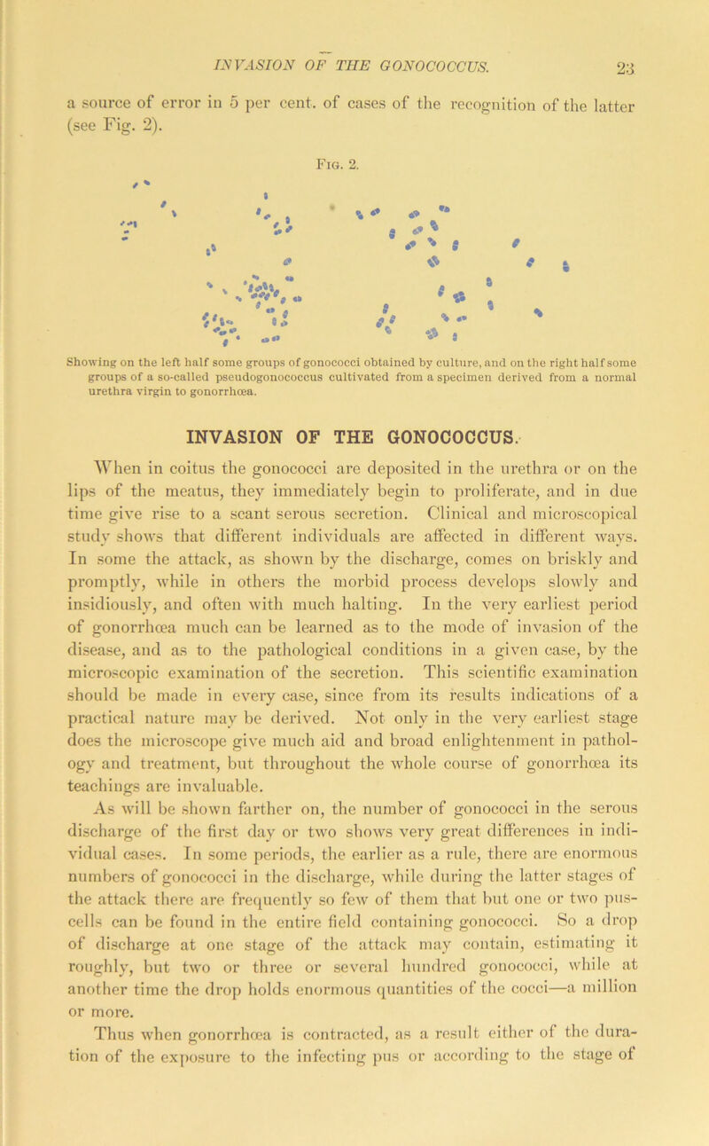 a source of error in 5 per cent, of cases of tlie recognition of the latter (see Fig. 2). % <0 ** {» ^ ^ S 9 if ❖ 9 s «t /e « % V- ^ Hi a Showing on the left half some groups of gonococci obtained by culture, and on the right half some groups of a so-called pseudogonococcus cultivated from a specimen derived from a normal urethra virgin to gonorrhoea. INVASION OF THE GONOCOCCUS. When in coitus the gonococci are deposited in the urethra or on the lips of the meatus, they immediately begin to proliferate, and in due time give rise to a scant serous secretion. Clinical and microscopical study shows that dilferent individuals are affected in different ways. In some the attack, as shown by the discharge, comes on briskly and promptly, while in others the morbid process develops slowly and insidiously, and often with much halting. In the very earliest period of gonorrhoea much can be learned as to the mode of invasion of the di.sease, and as to the pathological conditions in a given case, by the microscopic examination of the secretion. This scientific examination should be made in every case, since from its re.sults indications of a practical nature may be derived. Not only in the very earliest stage does the microscope give much aid and broad enlightenment in pathol- ogy and treatment, but throughout the whole course of gonorrhoea its teachings are invaluable. As will be shown farther on, the number of gonococci in the serous discharge of the first day or two shows very great differences in indi- vidual cases. In some periods, the earlier as a rule, there are enormous numbers of gonococci in the discharge, while during the latter stages of the attack there are frequently so few of them that but one or two ]>us- cells can be found in the entire field containing gonococci. So a drop of discharge at one stage of the attack may contain, estimating it roughly, but two or three or several hundred gonococci, while at another time the drop holds enormous quantities of the cocci—a million or more. Thus when gonorrhoea is contracted, as a result either of the dura- tion of the exposure to the infecting pus or according to the stage of