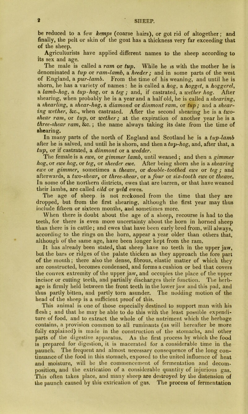 be reduced to a few kemps (coarse hairs), or got rid of altogether; and finally, the pelt or skin of the goat has a thickness very far exceeding that of the sheep. Agriculturists have applied different names to the sheep according to its sex and age. The male is called a ram or tup. While he is with the mother he is denominated a tup or ram~lamh^ a heeder; and in some parts of the west of England, a pur-lamb. From the time of his weaning, and until he is shorn, he has a variety of names; he is called a hog, a hogget, a hoggerel, a lamb-hog, a tup-hog, or a teg ; and, if castrated, a wether hog. After shearing, when probably he is a year and a half old, he is called a shearing, a shearling, a shear-hog, a diamond or dinmont ram, or tup ; and a shear- ing wether, &c., when castrated. After the second shearing he is a two- shear ram, or tup, or wether; at the expiration of another year he is a three-shear ram, &c.; the name always taking its date from the time of shearing. In many parts of the north of England and Scotland he is a tup-lamb after he is salved, and until he is shorn, and then a tup-hog, and, after that, a tup, or if castrated, a dinmont or a wedder. The female is a ewe, or gimmer lamb, until weaned; and then a gimmer hog, or ewe hog, or teg, or sheeder ewe. After being shorn she is a shearing ewe ox gimmer, sometimes a theave, ox double-toothed ewe or teg; and afterwards, a two-shear, or three-shear, or a four or six-tooth ewe or theave. In some of the northern districts, ewes that are barren, or that have weaned their iambs, are called eild or yeld ewes. The age of sheep is not reckoned from the time that they are dropped, but from the first shearing, although the first year may thus include fifteen or sixteen months, and sometimes more. When there is doubt about the age of a sheep, recourse is had to the teeth, for there is even more uncertainty about the horn in horned sheep than there is in cattle; and ewes that have been early bred from, will always, according to the rings on the horn, appear a year older than others that, although of the same age, have been longer kept from the ram. It has already been stated, that sheep have no teeth in the upper jaw, but the bars or ridges of the palate thicken as they approach the fore part of the mouth; there also the dense, fibrous, elastic matter of which they are constructed, becomes condensed, and forms a cushion or bed that covers the convex extremity of the upper jaw, and occupies the place of the upper incisor or cutting teeth, and partially discharges their function. The herb- age is firmly held between the front teeth in the lower jaw and this pad, and thus partly bitten, and partly torn asunder. The nodding motion of the head of the sheep is a sufficient proof of this. This animal is one of those especially destined to support man with his flesh ; and that he may be able to do this with the least possible expendi- ture of food, and to extract the whole of the nutriment which the herbage contains, a provision common to all ruminants (as will hereafter be more fully explaivied) is made in the construction of the stomachs, and other parts of the digestive apparatus. As the first process by which the food is prepared for digestion, it is macerated for a considerable time in the paunch. The frequent and almost necessary consequence of the long con- tinuance of the food in this stomach, exposed to the united influence of heat and moisture, will be tlie commencement of fermentation and decom- position, and the extrication of a considerable quantity of injurious gas. This often takes place, and many sheep are destroyed by the distension of the paunch caused by this extrication of gas. The process of fermentation