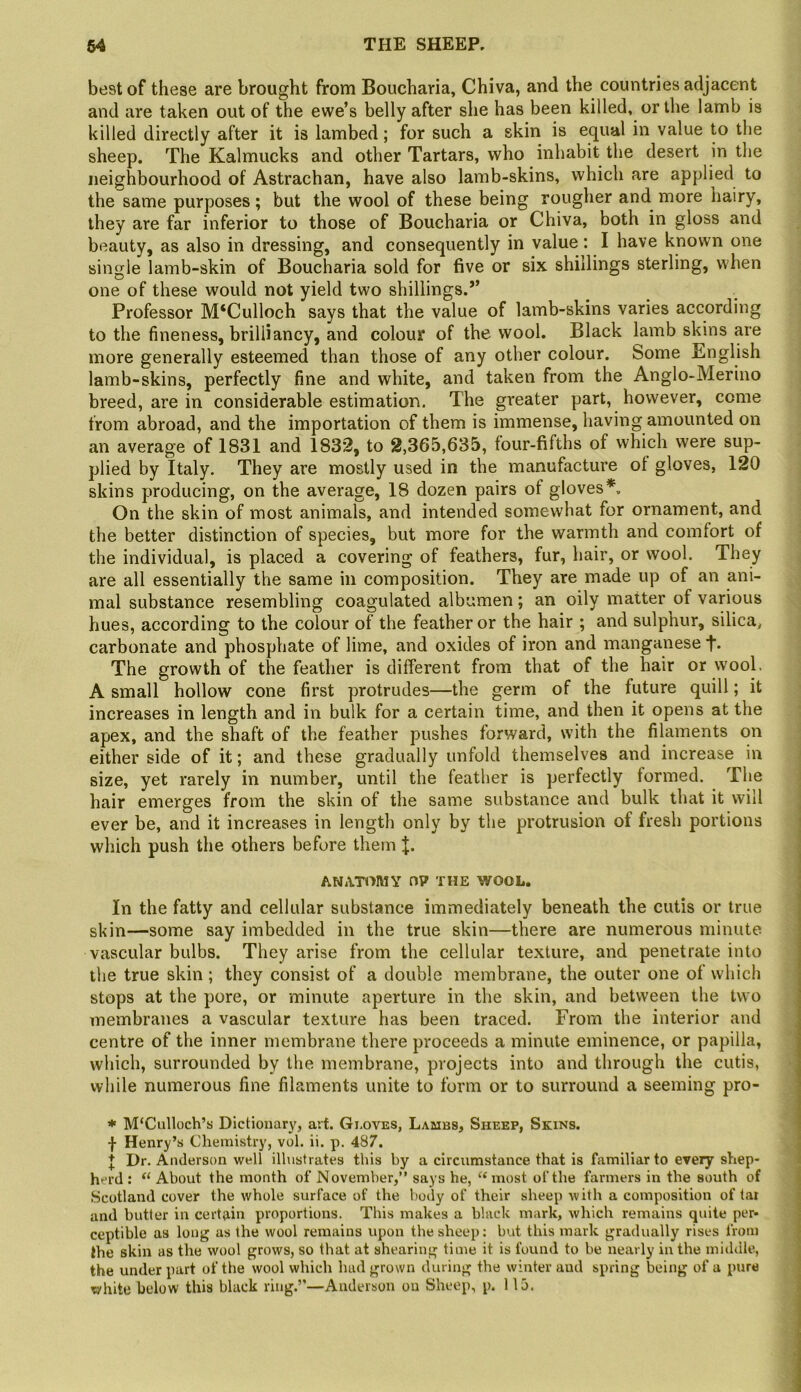 best of these are brought from Boucharia, Chiva, and the countries adjacent and are taken out of the ewe’s belly after she has been killed, or the lamb is killed directly after it is lambed; for such a skin is equal in value to the sheep. The Kalmucks and other Tartars, who inhabit the desert in the neighbourhood of Astrachan, have also lamb-skins, which are applied to the same purposes; but the wool of these being rougher and more hairy, they are far inferior to those of Boucharia or Chiva, both in gloss and beauty, as also in dressing, and consequently in value: I have known one single lamb-skin of Boucharia sold for five or six shillings sterling, when one of these would not yield two shillings.” Professor M‘Culloch says that the value of lamb-skins varies according to the fineness, brilliancy, and colour of the wool. Black lamb skins are more generally esteemed than those of any other colour. Some English lamb-skins, perfectly fine and white, and taken from the Anglo-Merino breed, are in considerable estimation. The greater part, however, come from abroad, and the importation of them is immense, having amounted on an average of 1831 and 1832, to 2,365,635, four-fifths of which were sup- plied by Italy. They are mostly used in the manufacture of gloves, 120 skins producing, on the average, 18 dozen pairs of gloves*. On the skin of most animals, and intended somewhat for ornament, and the better distinction of species, but more for the warmth and comfort of the individual, is placed a covering of feathers, fur, hair, or wool. They are all essentially the same in composition. They are made up of an ani- mal substance resembling coagulated albumen; an oily matter of various hues, according to the colour of the feather or the hair ; and sulphur, silica^ carbonate and phosphate of lime, and oxides of iron and manganese t* The growth of the feather is different from that of the hair or wool. A small hollow cone first protrudes—the germ of the future quill; it increases in length and in bulk for a certain time, and then it opens at the apex, and the shaft of the feather pushes forward, with the filaments on either side of it; and these gradually unfold themselves and increase in size, yet rarely in number, until the feather is perfectly formed. The hair emerges from the skin of the same substance and bulk that it will ever be, and it increases in length only by the protrusion of fresh portions which push the others before them ANATOMY 0? THE WOOL. In the fatty and cellular substance immediately beneath the cutis or true skin—some say imbedded in the true skin—there are numerous minute vascular bulbs. They arise from the cellular texture, and penetrate into the true skin; they consist of a double membrane, the outer one of which stops at the pore, or minute aperture in the skin, and between the two membranes a vascular texture has been traced. From the interior and centre of the inner membrane there proceeds a minute eminence, or papilla, which, surrounded by the membrane, projects into and through the cutis, while numerous fine filaments unite to form or to surround a seeming pro- * M‘Culloch’s Dictionary, art. Gloves, Lambs, Sheep, Skins. f Henry’s Chemistry, vol. ii. p. 487. J Dr. Anderson well illustrates this by a circumstance that is familiar to every shep- herd : About the month of November,” says he, ‘‘most of the farmers in the south of Scotland cover the whole surface of the body of their sheep with a composition of tar and butter in certain proportions. This makes a black mark, which remains quite per- ceptible as long as the wool remains upon the sheep: but this mark gradually rises from the skin as the wool grows, so that at shearing time it is found to be nearly in the middle, the under part of the wool which had grown during the winter and spring being of a pure