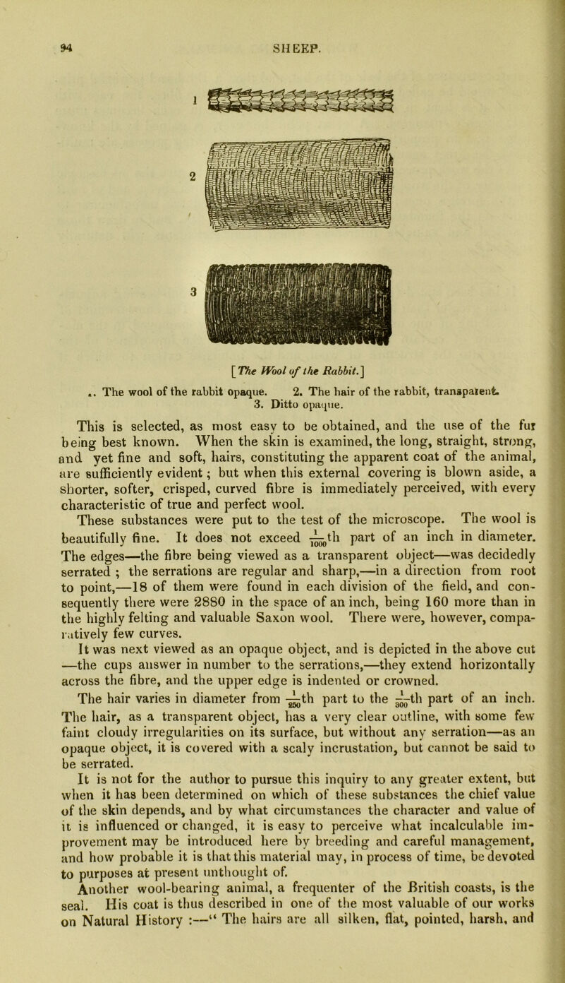 94 SHEEP. [7%e ffbol of the Rabbit.^ .. The wool of the rabbit opaque. 2. The hair of the rabbit, transpaient. 3. Ditto opaque. This is selected, as most easy to be obtained, and the use of the fur ] being best known. When the skin is examined, the long, straight, strong, and yet fine and soft, hairs, constituting the apparent coat of the animal, are sufficiently evident; but when this external covering is blown aside, a shorter, softer, crisped, curved fibre is immediately perceived, with every characteristic of true and perfect wool. These substances were put to the test of the microscope. The wool is beautifully fine. It does not exceed -j^th part of an inch in diameter. The edges—the fibre being viewed as a transparent object—was decidedly serrated ; the serrations are regular and sharp,—in a direction from root to point,—18 of them were found in each division of the field, and con- sequently there were 2880 in the space of an inch, being 160 more than in the highly felting and valuable Saxon wool. There were, however, compa- ratively few curves. It was next viewed as an opaque object, and is depicted in the above cut —the cups answer in number to the serrations,—they extend horizontally across the fibre, and the upper edge is indented or crowned. The hair varies in diameter from -^th part to the th part of an inch. The hair, as a transparent object, has a very clear outline, with some few faint cloudy irregularities on its surface, but without any serration—as an opaque object, it is covered with a scaly incrustation, but cannot be said to be serrated. It is not for the author to pursue this inquiry to any greater extent, but when it has been determined on which of these substances the chief value of the skin depends, and by what circumstances the character and value of it is influenced or changed, it is easy to perceive what incalculable im- provement may be introduced here by breeding and careful management, and how probable it is that this material may, in process of time, be devoted to purposes at present unthought of. Another wool-bearing animal, a frequenter of the British coasts, is the seal. His coat is thus described in one of the most valuable of our works on Natural History :—“ The hairs are all silken, flat, pointed, harsh, and