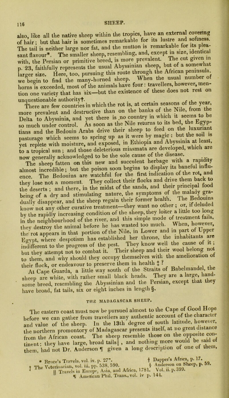 aleo, like all the native sheep within the tropies have an external covering of hair; but that hair is sometimes remarkable for its lustre and softness. The tail is neither large nor fat, and the mutton is remarkable for its plea- sant flavour*. The smaller sheep, resembling, and, except m size, laent'eal with, the Persian or primitive breed, is more prevalent. The cut given in p. 23, faithfully represents the usual Abyssinian sheep, hut of a somewhat larger size. Here, too, pursuing this route ‘he we begin to find the many-horned sheep. When the usual number of horns h exceeded, most of the animals have four; travellers, however, men- tion one variety that has six—but the existence of these does not rest on unquestionable authorityt- . , . • ,ronr There are few countries in which the rot is, at certain seasons of the year, more prevalent and destructive than on the banks of the Nile, from the Delta to Abyssinia, and yet there is no country in so much under control. As soon as the Nile returns to its bed tians and the Bedouin Arabs drive their sheep to pasturage which seems to spring up as it were by magic . u ^ f i yet replete with moisture, and exposed, m Ethiopia and Abyssinia at least to a tropical sun ; and those deleterious miasmata are developed, which are now generally acknowledged to be the sole cause of the disease. The sheep fatten on this new and succulent herbage with a rapidi y almost incredible; but the poison soon begins to display its baneful influ- ence The Bedouins are watchful for the first indication of the rot, and they'lose not a moment. They collect their flocks and drive them back to the deserts ; and there, in the midst of the sands, and their principal food being of a dry and stimulating nature, the symptoms of dually disappear, and the sheep regain their former health. The ^^doui know not any other curative treatment—they want no other ; or, if deluded by the rapidly increasing condition of the sheep, they loiter a litt e too lon^ in the neighbourhood of the river, and this simple mode of treatment failh, they destroy the animal before he has wasted too much When however the^ot appears in that portion of the Nile, in Lower and in P^rt of Uppe Ecrvpt, where despotism has established her throne, the inhabitants are indifferent to the progress of the pest. They know well the cause o i , but they attempt not to combat it. Their sheep and their wool belong not to them, and why should they occupy themselves with the amelioration ot their flock, or endeavour to preserve them in health t i At Cape Guarda, a little way south of the Straits of Babelmandel, the sheep are white, with rather small black heads. They are a large, hand- ■ some breed, resembling the Abyssinian and the Persian, except that they have broad, fat tails, six or eight inches in length §. THE MADAGASCAR SHEEP. The eastern coast must now be pursued almost to the Cape of Good Hope before we can gather from travellers any authentic account of the character and value of the sheep. In the 13th degree of south latitude, however, the northern promontory of Madagascar presents itself, at no great distance from the African coast. The sheep resemble those on the opposite con- tinent; they have large, broad tails| , and nothing more would be said ut them, had not Dr. Anderson ^ given a long description of one ot them, * Bruce’s Travels, vol. iv. p. 27. t Dappers Africa, p. 17. The Veterinarian, vol. hi. pp. 538, 590 § .Anderson bheep, p. 59. II Travels in Europe, Asia, and Africa, 1/81. \ol. u. p. 399. % American Phil. Trans., vol. iv p. 144.