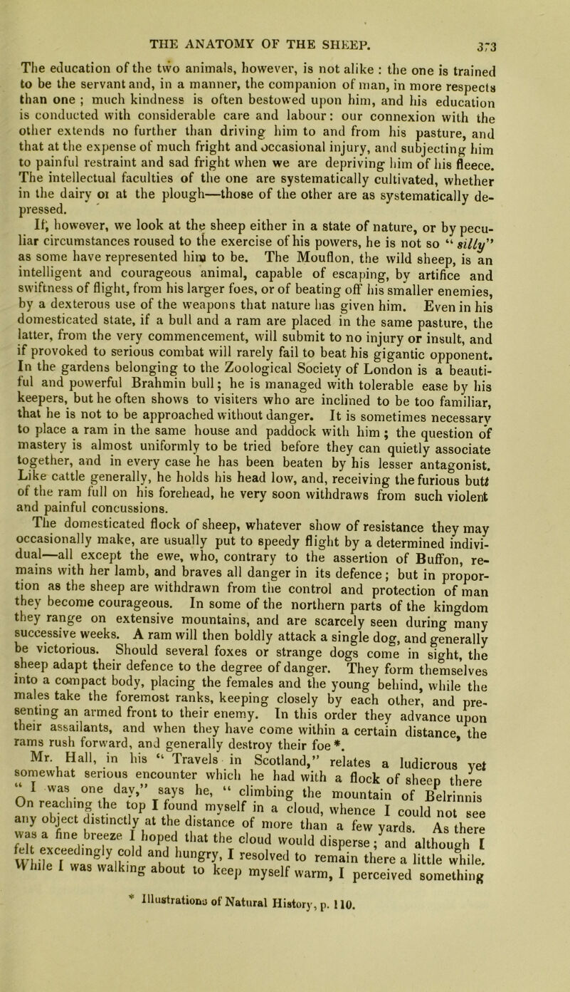 The education of the tvvo animals, however, is not alike ; the one is trained to be the servant and, in a manner, the companion of man, in more respects than one ; much kindness is often bestowed upon him, and his education is conducted with considerable care and labour: our connexion with the other extends no further than driving him to and from his pasture, and that at the expense of much fright and occasional injury, and subjecting him to painful restraint and sad fright when we are depriving him of his fleece. The intellectual faculties of the one are systematically cultivated, whether in the dairy 01 at the plough—those of the other are as systematically de- pressed. If; however, we look at the sheep either in a state of nature, or by pecu- liar circumstances roused to the exercise of his powers, he is not so “ as some have represented hina to be. The Mouflon, the wild sheep, is an intelligent and courageous animal, capable of escaping, by artifice and swiftness of flight, from his larger foes, or of beating off his smaller enemies, by a dexterous use of the weapons that nature has given him. Even in his domesticated state, if a bull and a ram are placed in the same pasture, the latter, from the very commencement, will submit to no injury or insult, and if provoked to serious combat will rarely fail to beat his gigantic opponent. In the gardens belonging to the Zoological Society of London is a beauti- ful and powerful Brahmin bull; he is managed with tolerable ease by his keepers, but he often shows to visiters who are inclined to be too familiar, that he is not to be approached without danger. It is sometimes necessary to place a ram in the same house and paddock with him ; the question of mastery is almost uniformly to be tried before they can quietly associate together, and in every case he has been beaten by his lesser antagonist. Like cattle generally, he holds his head low, and, receiving the furious buti of the ram full on his forehead, he very soon withdraws from such violent and painful concussions. The domesticated flock of sheep, whatever show of resistance they may occasionally make, are usually put to speedy flight by a determined indivi- dual—all except the ewe, who, contrary to the assertion of Buffon, re- mains with her lamb, and braves all danger in its defence; but in propor- tion as the sheep are withdrawn from tiie control and protection of man they become courageous. In some of the northern parts of the kingdom they range on extensive mountains, and are scarcely seen during many successive weeks. A ram will then boldly attack a single dog, and generally be victorious. Should several foxes or strange dogs come in sight, the sheep adapt their defence to the degree of danger. They form themselves into a co-mpact body, placing the females and the young behind, while the males take the foremost ranks, keeping closely by each other, and pre- senting an armed front to their enemy. In this order they advance upon their assailants, and when they have come within a certain distance the rams rush forward, and generally destroy their foe ♦. * Mr Hall, in his “ Travels in Scotland,” relates a ludicrous vet somewhat serious encounter which he had with a flock of sheep there ‘‘ I was one day,” says he, “ climbing the mountain of Belrinnis On reaching the top I found myself in a cloud, whence I could not see any object distinctly at the distance of more than a few yards As there was a fine breeze I hoped that the cloud would dispersl/and althoulh ! W exceedingly cold and hungry, I resolved to remain there a little while. While £ was walking about to keep myself warm, I perceived something * Illustration-j of Natural History, p. 110.