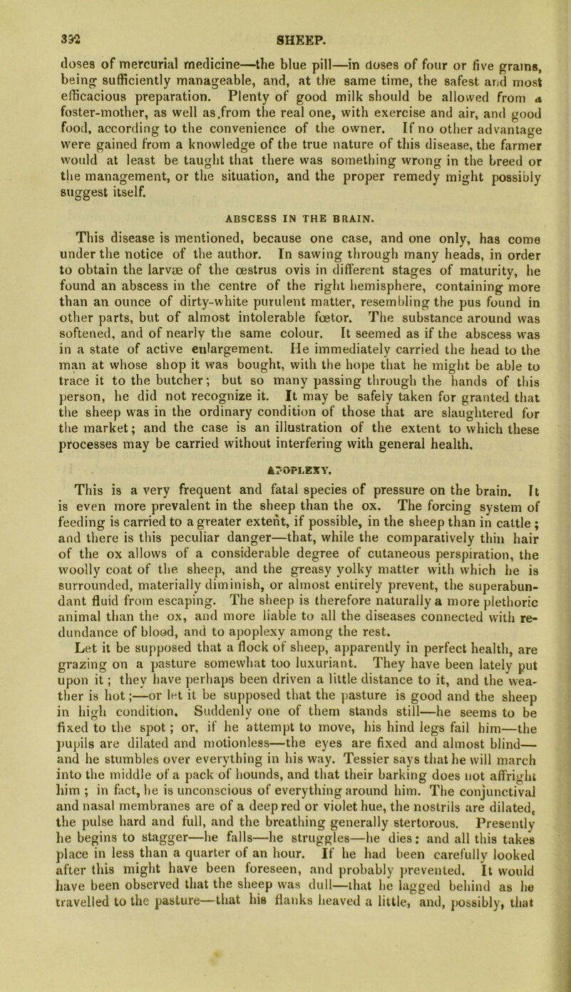 doses of mercurial medicine—the blue pill—in doses of four or five grains, being sufficiently manageable, and, at the same time, the safest and most efficacious preparation. Plenty of good milk should be allowed from <t foster-mother, as well as .from the real one, with exercise and air, and good food, according to the convenience of the owner. If no other advantage were gained from a knowledge of the true nature of this disease, the farmer would at least be taught that there was something wrong in the breed or the management, or the situation, and the proper remedy might possibly suggest itself. ABSCESS IN THE BRAIN. This disease is mentioned, because one case, and one only, has come under the notice of the author. In sawing through many heads, in order to obtain the larvye of the oestrus ovis in different stages of maturity, he found an abscess in the centre of the right hemisphere, containing more than an ounce of dirty-white purulent matter, resembling the pus found in other parts, but of almost intolerable foetor. The substance around was softened, and of nearly the same colour. It seemed as if the abscess was in a state of active enlargement. He immediately carried the head to the man at whose shop it was bought, with the hope that he might be able to trace it to the butcher; but so many passing through the hands of this person, he did not recognize it. It may be safely taken for granted that the sheep was in the ordinary condition of those that are slaughtered for the market; and the case is an illustration of the extent to which these processes may be carried without interfering with general health. APOPLEXY. This is a very frequent and fatal species of pressure on the brain, ft is even more prevalent in the sheep than the ox. The forcing system of feeding is carried to a greater extent, if possible, in the sheep than in cattle ; and there is this peculiar danger—that, while the comparatively thin hair of the ox allows of a considerable degree of cutaneous perspiration, the woolly coat of the sheep, and the greasy yolky matter with which he is surrounded, materially diminish, or almost entirely prevent, the superabun- dant fluid from escaping. The sheep is therefore naturally a more plethoric animal than the ox, and more liable to all the diseases connected with re- dundance of blood, and to apoplexy among the rest. Let it be supposed that a flock of sheep, apparently in perfect health, are grazing on a pasture somewhat too luxuriant. They have been lately put upon it; they have perhaps been driven a little distance to it, and the wea- ther is hot;—or let it be supposed that the pasture is good and the sheep in high condition. Suddenly one of them stands still—he seems to be fixed to the spot; or, if he attempt to move, his hind legs fail him—the pupils are dilated and motionless—the eyes are fixed and almost blind— and he stumbles over everything in his way. Tessier says that he will inarch into the middle of a pack of hounds, and that their barking does not affright liim ; in fact, he is unconscious of everything around him. The conjunctival and nasal membranes are of a deep red or violet hue, the nostrils are dilated, the pulse hard and full, and the breathing generally stertorous. Presently he begins to stagger—he falls—he struggles—he dies: and all this takes place in less than a quarter of an hour. If he had been carefully looked after this might have been foreseen, and probably ]>revented. It would have been observed that the sheep was dull—that he lagged behind as he travelled to the pasture—that his flanks heaved a little, and, j)Ossibly, that