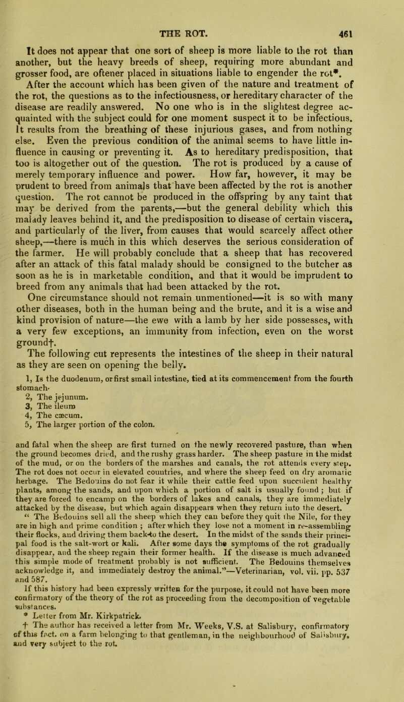 It does not appear that one sort of sheep is more liable to the rot than another, but the heavy breeds of sheep, requiring more abundant and grosser food, are oftener placed in situations liable to engender the rot*. After the account which has been given of the nature and treatment of the rot, the questions as to the infectiousness, or hereditary character of the disease are readily answered. No one who is in the sliglitest degree ac- quainted with the subject could for one moment suspect it to be infectious. It results from the breathing of these injurious gases, and from nothing else. Even the previous condition of the animal seems to have little in- fluence in causing or preventing it. As to hereditary predisposition, that too is altogether out of the question. The rot is produced by a cause of merely temporary influence and power. How far, however, it may be prudent to breed from animals that have been affected by the rot is another question. The rot cannot be produced in the offspring by any taint that may be derived from the parents,—but the general debility which this malady leaves behind it, and the predisposition to disease of certain viscera, and particularly of the liver, from causes that would scarcely affect other sheep,—there is much in this which deserves the serious consideration of the farmer. He will probably conclude that a sheep that has recovered after an attack of this fatal malady should be consigned to the butcher as soon as he is in marketable condition, and that it would be imprudent to breed from any animals that had been attacked by the rot. One circumstance should not remain unmentioned—it is so with many other diseases, both in the human being and the brute, and it is a wise and kind provision of nature—the ewe with a lamb by her side possesses, with a very few exceptions, an immunity from infection, even on the worst groundf. The following cut represents the intestines of the sheep in their natural as they are seen on opening the belly. 1, Is the duodenum, or first small intestine, tied at its commencement from the fourth stomach- 2, The jejunum. 3, The ileum 4, The caecum. 5, The larger portion of the colon. and fatal when the sheep are first turned on the newly recovered pasture, than when the ground becomes dried, and the rushy grass harder. The sheep pasture in the midst of the mud, or on the borders of the marshes and canals, the rot attends every step. The rot does not occur iu elevated countries, and where the sheep feed on dry aromatic herbage. The Bedouins do not fear it while their cattle feed upon succulent healthy plants, among the sands, and upon which a portion of salt is usually found ; but if they are forced to encamp on the borders of lakes and canals, they are immediately attacked by the disease, but which again disappears when they return into the desert. “ The Bedouins sell all the sheep which they can before they quit the Nile, for they are in high and prime condition ; after which they lose not a moment in re-assembling their flocks, and driving them back-to the desert. In the midst of the sands their princi- pal food is the salt-wort or kali. After some days th« symptoms of the rot gradually disappear, and the sheep regain their former health. If the disease is much advanced this simple mode of treatment probably is not sufficient. The Bedouins themselves acknowledge it, and immediately destroy the animal.”—Veterinarian, vol. vii. iip 537 and 587. If this history had been expressly written for the purpose, it could not have been more confirmatory of the theory of the rot as proceeding from the decomposition of vegetable substances. * Letter from Mr. Kirkpatrick. t The author has received a letter from Mr. Weeks, V.S. at Salisbury, confirmatory of this fi^ct. on a farm belonging to that gentleman, in the neighbourhood of Salisbury, and very subject to the rot.