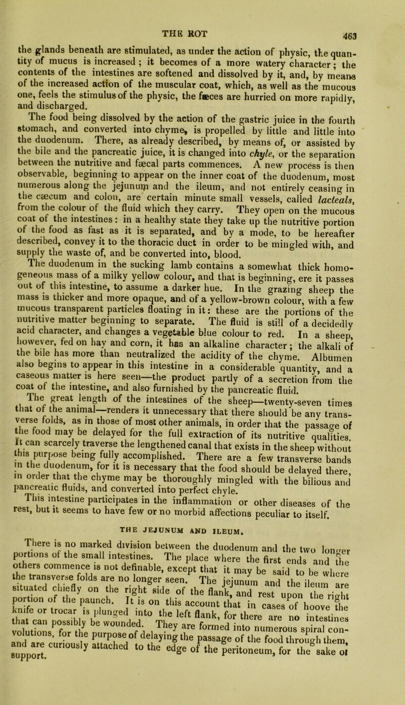 the griands beneath are stimulated, as under the action of physic, the quan- tity of mucus is increased ; it becomes of a more watery character; the contents of the intestines are softened and dissolved by it, and, by m’eaivs of the increased action of the muscular coat, which, as well as the mucous one, feels the stimulus of the physic, the fsces are hurried on more rapidly, and discharged. The food being dissolved by the action of the gastric juice in the fourth stomach, and converted into chyme* is propelled by little and little into the duodenum. There, as already described, by means of, or assisted by the bile and the pancreatic juice, it is changed into chyle, or the separation between the nutritive and faecal parts commences. A new process is then observable, beginning to appear on the inner coat of the duodenum, most numerous along the jejunuiji and the ileum, and not entirely ceasing in the caecum and colon, are certain minute small vessels, called lacteals, from the colour of the fluid which they carry. They open on the mucous coat of the intestines: in a healthy state they take up the nutritive portion of the food as fast as it is separated, and by a mode, to be hereafter described, convey it to the thoracic duct in order to be mingled with, and supply the waste of, and be converted into, blood. The duodenum in the sucking lamb contains a somewhat thick homo- geneous map of a milky yellow colour, and that is beginning, ere it passes out of this intestine, to assume a darker hue. In the grazing sheep the mass is thicker and more opaque, and of a yellow-brown colour, with a few mucous transparent particles floating in it: these are the portions of the nutritive matter beginning to separate. The fluid is still of a decidedly acid character, and changes a vegetable blue colour to red. In a sheep, however, fed on hay and corn, it has an alkaline character; the alkali of the bile has more than neutralized the acidity of the chyme. Albumen also begins to appear in this intestine in a considerable quantity and a caseous matter IS here seen—the product partly of a secretion from the coat of the intestine, and also furnished by the pancreatic fluid. The great length of the intestines of the sheep—twenty-seven times that of the animal—renders it unnecessary that there should be any trans- yerse folas, as in those of most other animals, in order that the passap-e of the food may be delayed for the full extraction of its nutritive qualfties It can scarcely travpse the lengthened canal that exists in the sheep without this purpose being fully accomplished. There are a few transver^Be bands m the duodenum, for it is necessary that the food should be delayed there in order that the chyme may be thoroughly mingled with the bilious and pancreatic fluids, and converted into perfect chyle. This intestine participates in the inflammation or other diseases of the rest, but it seems to have few or no morbid alfections peculiar to itself. THE JEJUNUM AND ILEUM. There is no marked division belween the duodenum and the two lonoet portions of tlie small intestines. The place where the 6rst ends and The others commence is not definable, except that it may be said to be where the transverse folds are no longer seen. The jejunum and the ileum a e situated chiefly on the right side of the flank and rest upon tl e riuk portion of the paunch. It is on this account that in cases of h^ve fhe knife or trocar is plunged into the left flank, for there are no btestines volutions, for the purpose of delaying the passage of the food through them iort'“°“^ ^ of ‘he peritoneum, for the^X oi