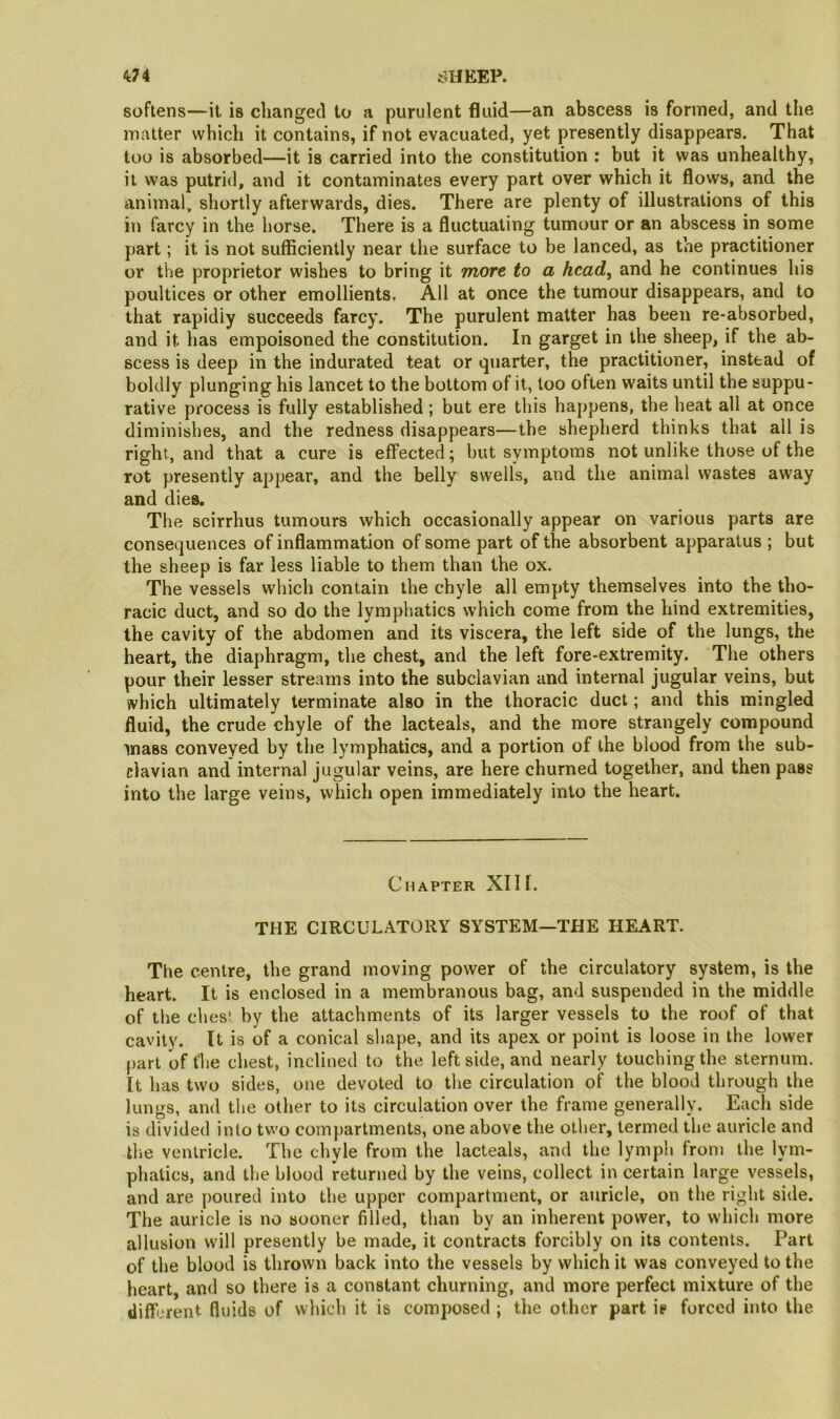 softens—it, is changed to a purulent fluid—an abscess is formed, and the matter which it contains, if not evacuated, yet presently disappears. That too is absorbed—it is carried into the constitution : but it was unhealthy, it was putrid, and it contaminates every part over which it flows, and the animal, shortly afterwards, dies. There are plenty of illustrations of this in farcy in the horse. There is a fluctuating tumour or an abscess in some part; it is not sufficiently near the surface to be lanced, as the practitioner or the proprietor wishes to bring it more to a hcad^ and he continues his poultices or other emollients, All at once the tumour disappears, and to that rapidly succeeds farcy. The purulent matter has been re-absorbed, and it has empoisoned the constitution. In garget in the sheep, if the ab- scess is deep in the indurated teat or quarter, th^e practitioner, instead of boldly plunging his lancet to the bottom of it, too often waits until the suppu- rative process is fully established; but ere this happens, the heat all at once diminishes, and the redness disappears—the shepherd thinks that all is right, and that a cure is effected; but symptoms not unlike those of the rot presently appear, and the belly swells, and the animal wastes away and dies. The scirrhus tumours which occasionally appear on various parts are consequences of inflammation of some part of the absorbent apparatus ; but the sheep is far less liable to them than the ox. The vessels which contain the chyle all empty themselves into the tho- racic duct, and so do the lymphatics which come from the hind extremities, the cavity of the abdomen and its viscera, the left side of the lungs, the heart, the diaphragm, the chest, and the left fore-extremity. The others pour their lesser streams into the subclavian and internal jugular veins, but which ultimately terminate also in the thoracic duct; and this mingled fluid, the crude chyle of the lacteals, and the more strangely compound mass conveyed by the lymphatics, and a portion of the blood from the sub- clavian and internal jugular veins, are here churned together, and then pass into the large veins, which open immediately into the heart. Chapter XIIf. THE CIRCULATORY SYSTEM—THE HEART. The centre, the grand moving power of the circulatory system, is the heart. It is enclosed in a membranous bag, and suspended in the middle of the chesi by the attachments of its larger vessels to the roof of that cavity. It is of a conical shape, and its apex or point is loose in the lower part of the chest, inclined to the leftside, and nearly touching the sternum. It has two sides, one devoted to the circulation of the blood through the lungs, and the other to its circulation over the frame generally. Each side is divided into two compartments, one above the other, termed the auricle and the ventricle. The chyle from the lacteals, and the lymph from the lym- phatics, and the blood returned by the veins, collect in certain large vessels, and are poured into the upper compartment, or auricle, on the right side. The auricle is no sooner filled, than by an inherent power, to which more allusion will presently be made, it contracts forcibly on its contents. Part of the blood is thrown back into the vessels by which it was conveyed to the heart, and so there is a constant churning, and more perfect mixture of the different fluids of which it is composed ; the other part is forced into the