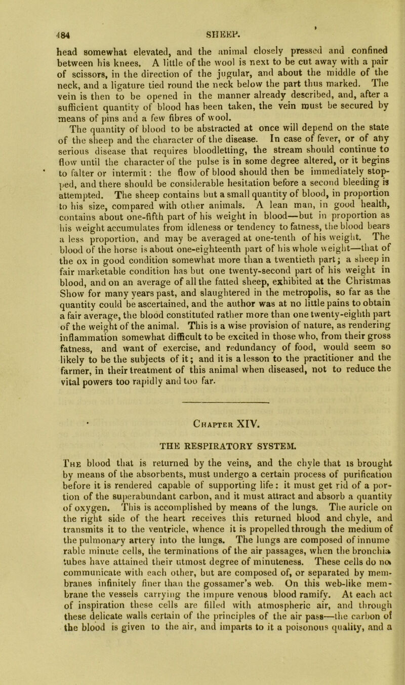 head somewhat elevated, and the animal closely pressed and confined between his knees. A little of the wool is next to be cut away with a pair of scissors, in the direction of the jugular, and about the middle of the neck, and a ligature tied round the neck below the part thus marked. The vein is then to be opened in the manner already described, and, after a sufficient quantity of blood has been taken, the vein must be secured by means of pins and a few fibres of wool. The quantity of blood to be abstracted at once will depend on the state of the sheep and the character of the disease. In case of fever, or of ahy serious disease that requires bloodletting, the stream should continue to flow until the character of the pulse is in some degree altered, or it begins to falter or intermit; the flow of blood should then be immediately stop- ped, and there should be considerable hesitation before a second bleeding is attempted. The sheep contains but a small quantity of blood, in proportion to his size, compared with other animals. A lean man, in good health, contains about one-fifth part of his weight in blood—but in proportion as his weight accumulates from idleness or tendency to fatness, the blood bears a less proportion, and may be averaged at one-tenth of his weight. The blood of the horse is about one-eighteenth part of his whole weight—that of the ox in good condition somewhat more than a twentieth part; a sheep in fair marketable condition has but one twenty-second part of his weight in blood, and on an average of all the fatted sheep, exhibited at the Christmas Show for many years past, and slaughtered in the metropolis, so far as the quantity could be ascertained, and the author was at no little pains to obtain a fair average, the blood constituted rather more than one twenty-eighth part of the weight of the animal. This is a wise provision of nature, as rendering inflammation somewhat difficult to be excited in those who, from their gross fatness, and want of exercise, and redundancy of food, would seem so likely to be the subjects of it; and it is a lesson to the practitioner and the farmer, in their treatment of this animal when diseased, not to reduce the vital powers too raj)idly and too far. • Chapter XIV. THE RESPIRATORY SYSTEM. The blood that is returned by the veins, and the chyle that is brought by means of the absorbents, must undergo a certain process of purification before it is rendered capable of supporting life: it must get rid of a por- tion of the superabundant carbon, and it must attract and absorb a quantity of oxygen. This is accomplished by means of the lungs. The auricle on the right side of the heart receives this returned blood and chyle, and transmits it to the ventricle, whence it is propelled through the medium of the pulmonary artery into the lungs. The lungs are composed ofinnume rable minute cells, the terminations of the air passages, when the bronchi* tubes have attained their utmost degree of minuteness. These cells do nok communicate with each other, but are composed of, or separated by mem- branes infinitely finer than the gossamer’s web. On this web-like mem- brane the vessels carrying the impure venous blood ramify. At each act of inspiration these cells are filled with atmospheric air, and througii these delicate walls certain of the principles of the air pass—the carbon o! the blood is given to the air, and imparts to it a poisonous quality, and a