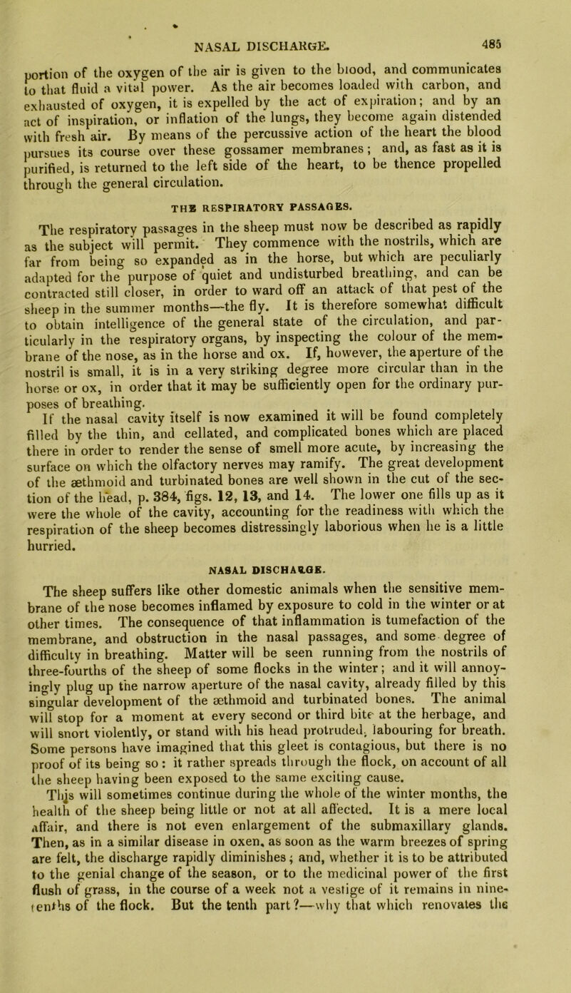 portion of the oxygen of the air is given to the blood, and communicates to that fluid a vital power. As the air becomes loaded with carbon, and exhausted of oxygen, it is expelled by the act of expiration; and by an net of inspiration, or inflation of the lungs, they become again distended with fresh air. By means of the percussive action of the heart the blood pursues its course over these gossamer membranes; and, as fast as it is purified, is returned to the left side of the heart, to be thence propelled througii the general circulation. THE RESPIRATORY PASSAGES. The respiratory passages in the sheep must now be described as rapidly as the subject will permit.' They commence with the nostrils, which are far from being so expanded as in the horse, but which are peculiarly adapted for the purpose of (juiet and undisturbed breathing, and can be contracted still closer, in order to ward off an attack of that pest of the sheep in the summer months—the fly. It is therefore somewhat difficult to obtain intelligence of the general state of the circulation, and par* ticularly in the respiratory organs, by inspecting the colour of the mem- brane of the nose, as in the horse and ox. If, however, the aperture of the nostril is small, it is in a very striking degree more circular than in the horse or ox, in order that it may be sufficiently open for the ordinary pur- poses of breathing. If the nasal cavity itself is now examined it will be found completely filled by the thin, and cellated, and complicated bones which are placed there in order to render the sense of smell more acute, by increasing the surface on which the olfactory nerves may ramify. The great development of llie aethmoid and turbinated bones are well shown in the cut of the sec- tion of the head, p. 384, figs. 12, 13, and 14. The lower one fills up as it were the whole of the cavity, accounting for the readiness with which the respiration of the sheep becomes distressingly laborious when he is a little hurried. NASAL DISCHARGE. The sheep suffers like other domestic animals when the sensitive mem- brane of the nose becomes inflamed by exposure to cold in the winter or at other times. The consequence of that inflammation is tumefaction of the membrane, and obstruction in the nasal passages, and some degree of difficulty in breathing. Matter will be seen running from the nostrils of three-fourths of the sheep of some flocks in the winter; and it will annoy- ino-ly plug up the narrow aperture of the nasal cavity, already filled by this sint^ular development of the aethmoid and turbinated bones. The animal wil? stop for a moment at every second or third bite at the herbage, and will snort violently, or stand with his head protruded., labouring for breath. Some persons have imagined that this gleet is contagious, but there is no proof of its being so : it rather spreads through the flock, on account of all the sheep having been exposed to the same exciting cause. Thjs will sometimes continue during the whole of the winter months, the health of the sheep being little or not at all affected. It is a mere local affair, and there is not even enlargement of the submaxillary glands. Then, as in a similar disease in oxen, as soon as the warm breezes of spring are felt, the discharge rapidly diminishes; and, whether it is to be attributed to the genial change of the season, or to the medicinal power of the first flush of grass, in the course of a week not a vestige of it remains in nine- tenths of the flock. But the tenth part?—why that which renovates the