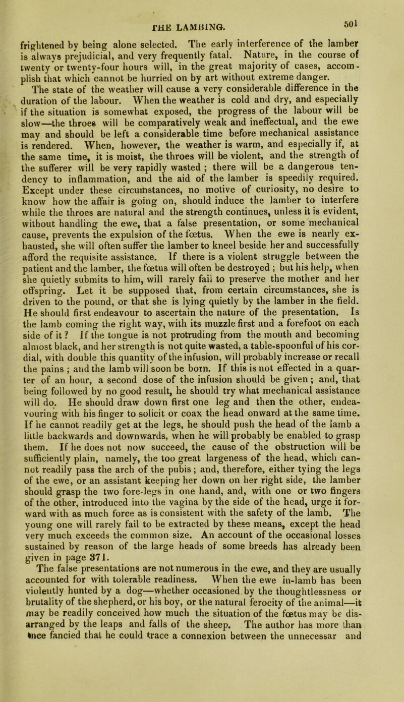 frightened by being alone selected. The early interference of the lamber is always prejudicial, and very frequently fatal. Nature, in the course of twenty or twenty-four hours will, in the great majority of cases, accom- plish that which cannot be hurried on by art without extreme danger. The state of the weather will cause a very considerable difference in the duration of the labour. When the weather is cold and dry, and especially if the situation is somewhat exposed, the progress of the labour will be slow—the throes will be comparatively weak and ineffectual, and the ewe may and should be left a considerable time before mechanical assistance is rendered. When, however, the weather is warm, and especially if, at the same time, it is moist, the throes will be violent, and the strength of the sufferer will be very rapidly wasted ; there will be a dangerous ten- dency to inflammation, and the aid of the lamber is speedily required. Except under these circuilistances, no motive of curiosity, no desire to know how the affair is going on, should induce the lamber to interfere while the throes are natural and the strength continues, unless it is evident, without handling the ewe, that a false presentation, or some mechanical cause, prevents the expulsion of the foetus. When the ewe is nearly ex- hausted, she will often suffer the lamber to kneel beside her and successfully afford the requisite assistance. If there is a violent struggle between the patient and the lamber, the foetus will often be destroyed ; but his help, when she quietly submits to him, will rarely fail to preserve the mother and her offspring. Let it be supposed that, from certain circumstances, she is driven to the pound, or that she is lying quietly by the lamber in the field. He should first endeavour to ascertain the nature of the presentation. Is the lamb coming the right way, with its muzzle first and a forefoot on each side of it ? If the tongue is not protruding from the mouth and becoming almost black, and her strength is not quite wasted, a table-spoonful of his cor- dial, with double this quantity of the infusion, will probably increase or recall the pains ; and the lamb will soon be born. If this is not effected in a quar- ter of an hour, a second dose of the infusion should be given; and, that being followed by no good result, he should try what mechanical assistance will do». He should draw down first one leg and then the other, endea- vouring with his finger to solicit or coax the head onward at the same time. If he cannot readily get at the legs, he should push the head of the lamb a little backwards and downwards, when he will probably be enabled to grasp them. If he does not now succeed, the. cause of the obstruction will be sufficiently plain, namely, the too great largeness of the head, which can- not readily pass the arch of the pubis; and, therefore, either tying the legs of the ewe, or an assistant keeping her down on her right side, the lamber should grasp the two fore-legs in one hand, and, with one or two fingers of the other, introduced into the vagina by the side of the head, urge it for- ward with as much force as is consistent with the safety of the lamb. The young one will rarely fail to be extracted by these means, except the head very much exceeds the common size. An account of the occasional losses sustained by reason of the large heads of some breeds has already been given in page 371. The false presentations are not numerous in the ewe, and they are usually accounted for with tolerable readiness. When the ewe in-lamb has been violently hunted by a dog—whether occasioned by the thoughtlessness or brutality of the shepherd, or his boy, or the natural ferocity of the animal—it may be readily conceived how much the situation of the foetus may be dis- arranged by the leaps and falls of the sheep. The author has more than •nee fancied that he could trace a connexion between the unnecessar and