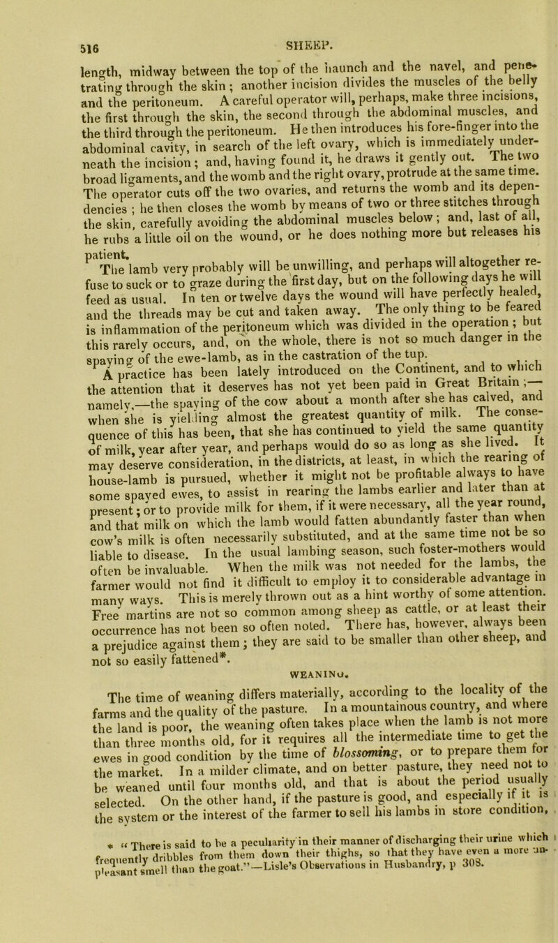 length, miaway between the top of the iiaunch and the navel, and pen^ tratins through the skin ; another incision divides the muscles of the belly and the peritoneum. A careful operator will, perhaps, make three incisions the first throucrh the skin, the second through the abdominal muscles, and the third through the peritoneum. He then introduces his fore-finger into the abdominal cavity, in search of the left ovary which is immediately under- neath the incision ; and, having found it, he draws it gently out. The two broad licraments, and the womb and the right ovary, protrude at the same time. The opm-ator cuts off the two ovaries, and returns the womb and its depen- dencies ; he then closes the womb by means of two or three stitches through the skin, carefully avoiding the abdominal muscles below; and, last ot all, he ruhs a little oil on the wound, or he does nothing more but releases his ^ The lamb verv probably will be unwilling, and perhaps will altogether re- fuse to suck or to' graze during the first day, but on the following days he will feed as usual. In ten or twelve days the wound will have perfectly healed and the threads may be cut and taken away. The only thing to be feared is inflammation of the peritoneum which was divided in the operation ; but this rarely occurs, and, on the whole, there is not so much danger in the soavino- of the ewe-lamb, as in the castration of the tup. A practice has been lately introduced on the Continent, and to which the attention that it deserves has not yet been paid m Great Britain;-- namelv,—the spaying of the cow about a month after she has calved, and when she is yiehiing almost the greatest quantity of milk. The conse- quence of this has been, that she has continued to yield the same quantity of milk, year after year, and perhaps would do so as long as she lived. It may deserve consideration, in the districts, at least, in which the rearing of house-lamb is pursued, whether it might not be profitable always to have some spaved ewes, to assist in rearing the lambs earlier and later than at present: or to provide milk for them, if it were necessary, all the year round, and that milk on which the lamb would fatten abundantly faster than when cow’s milk is often necessarily substituted, and at the same time not be so liable to disease. In the usual lambing season, such foster-mothers would often be invaluable. When the milk was not needed for the lambs, the farmer would not find it difficult to employ it to considerable advantage in many ways. This is merely thrown out as a hint worthy of some attention. Free martins are not so common among sheep as cattle, or at least their occurrence has not been so often noted. There has, however, always been a prejudice against them; they are said to be smaller than other sheep, and not so easily fattened*. WEANINa. The time of weaning differs materially, according to the locality of the farms and the quality of the pasture. In a mountainous country, and where le land is poo\ Je weanin^^g often takes place when the lamb ts not more than three months old, for it requires all the intermediate time to get the ewes in good condition by the time of blossoming, or to prepare them lor the market. In a milder climate, and on better pasture, they need not to be weaned until four months old, and that is about the period usua y selected. On the other hand, if the pasture is good, and especially it it is the system or the interest of the farmer to sell his lambs in store condition, ♦ « There is said to be a peculiarity in their manner of discharging their urine which frequently dribbles from them down their thighs, so that they have even a more un. pleasant smell than the goat.”-Lisle’s Observations in Husbandry, p 308.