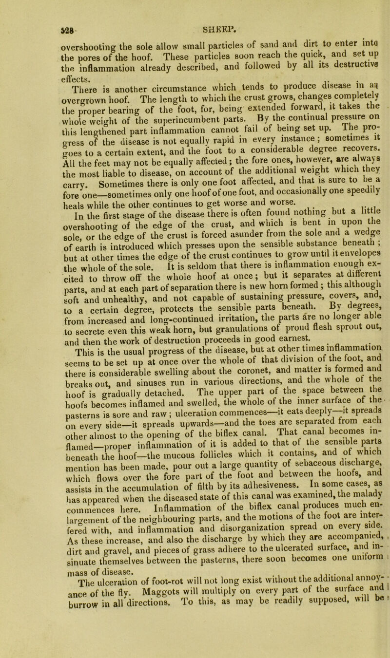overshooting the sole allow small particles of sand and dirt to enter into the pores of the hoof. These particles soon reach the quick, and set up the inflammation already described, and followed by all its destructive effects* There is another circumstance which tends to produce disease in aij overgrown hoof. The length to which the crust grows, changes completely the proper bearing of the foot, for, being extended forward it takes the whole weight of the superincumbent parts. By the continual pressure on this lengthened part inflammation cannot fail of being set up. Ihe pro- o-ress of the disease is not equally rapid in every instance ; sometimes it goes to a certain extent, and the foot to a considerable degree recovers. All the feet may not be equally affected; the fore ones, however, are always the most liable to disease, on account of the additional weight which they carry. Sometimes there is only one foot affected, and that is sure to be a fore one—sometimes only one hoof of one foot, and occasionally one speedily heals while the other continues to get worse and worse. In the first stage of the disease there is often found nothing but a little overshooting of the edge of the crust, and which is bent in upon the sole, or the edge of the crust is forced asunder from the sole and a wedge of earth is introduced which presses upon the sensible substance beneath ; but at other times the edge of the crust continues to grow untd it envelopes the whole of the sole. It is seldom that there is inflammation enough ex- cited to throw off the whole hoof at once; but it separates at different parts and at each part of separation there is new horn formed; this althougli soft Ind unhealthy, and not capable of sustaining pressure, covers, and, to a certain degree, protects the sensible parts beneath, by degrees, from increased and long-continued irritation, the parts are no longer ab.e to secrete even this weak horn, but granulations of proud flesh sprout out, and then the work of destruction proceeds in good earnest. This is the usual progress of the disease, but at other times inflammation seems to be set up at once over the whole of that division of the foot, and there is considerable swelling about the coronet, and rnatter is formed an breaks out, and sinuses run in various directions, and the whole ot the hoof is gradually detached. The upper part of the space between the hoofs becomes inflamed and swelled, the whole of the inner surface of the- pasterns is sore and raw ; ulceration commences—it eats deeply—it spreads on every side—it spreads upwards—and the toes are separated from each other almost to the opening of the biflex canal. That canal becomes in- flamed—proper inflammation of it is added to that of the sensible jmrts beneath the hoof—the mucous follicles which it contains, and of which mention has been made, pour out a large quantity of sebaceous discharge, which flows over the fore part of the foot and between the hoofs, and assists in the accumulation of filth by its adhesiveness. In some cases, as has appeared when the diseased state of this canal was examined, the malady commences here. Inflammation of the biflex canal produces much en- lar<yement of the neighbouring parts, and the motions of the foot are inter- fered with, and inflammation and disorganization spread on every si e. As these increase, and also the discharge by which they are accompanied, dirt and gravel, and pieces of grass adhere to the ulcerated surtace, and in- sinuate themselves between the pasterns, there soon becomes one unitorm mass of disease. The ulceration of foot-rot will not long exist without the additional annoy- ance of the fly. Maggots will multiply on every part of the surface and burrow in all directions. To this, as may be readily supposed, will he