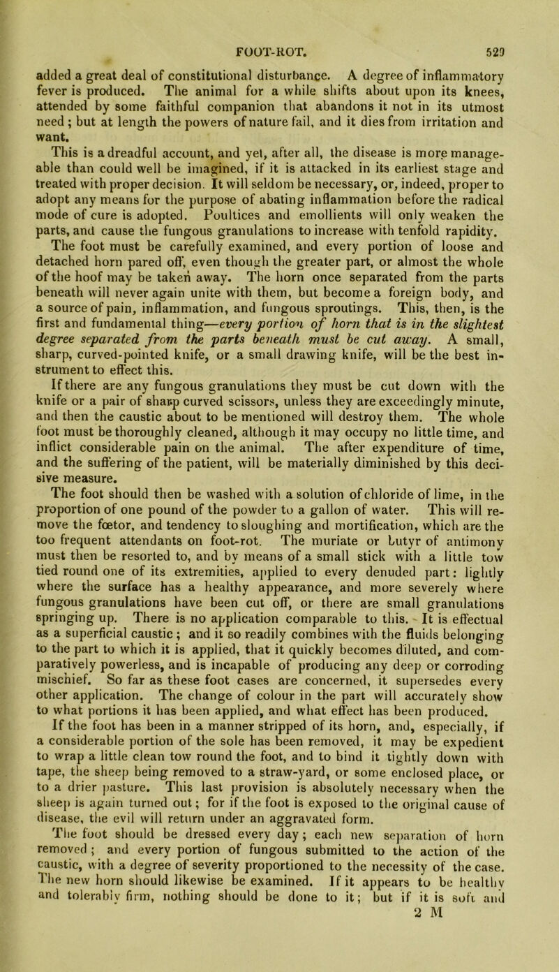 added a great deal of constitutional disturbance. A degree of inflammatory fever is produced. The animal for a while shifts about upon its knees, attended by some faithful companion that abandons it not in its utmost need ; but at length the powers of nature fail, and it dies from irritation and want. This is a dreadful account, and yet, after all, the disease is more manage- able than could well be imagined, if it is attacked in its earliest stage and treated with proper decision. It will seldom be necessary, or, indeed, proper to adopt any means for the purpose of abating inflammation before the radical mode of cure is adopted. Poultices and emollients will only weaken the parts, and cause the fungous granulations to increase with tenfold rapidity. The foot must be carefully examined, and every portion of loose and detached horn pared oft', even though the greater part, or almost the whole of the hoof may be takeii away. The horn once separated from the parts beneath will never again unite with them, but become a foreign body, and a source of pain, inflammation, and fungous sproutings. This, then, is the first and fundamental thing—every portion of horn that is in the slightest degree separated from the parts beneath must be cut away. A small, sharp, curved-pointed knife, or a small drawing knife, will be the best in- strument to effect this. If there are any fungous granulations they must be cut down with the knife or a pair of shar*p curved scissors, unless they are exceedingly minute, and then the caustic about to be mentioned will destroy them. The whole foot must be thoroughly cleaned, although it may occupy no little time, and inflict considerable pain on the animal. The after expenditure of time, and the suffering of the patient, will be materially diminished by this deci- sive measure. The foot should then be washed with a solution of chloride of lime, in the proportion of one pound of the powder to a gallon of water. This will re- move the foetor, and tendency to sloughing and mortification, which are the too frequent attendants on foot-rot. The muriate or butyr of antimony must then be resorted to, and by means of a small stick with a little tow tied round one of its extremities, a[)plied to every denuded part: lightly where the surface has a healthy appearance, and more severely where fungous granulations have been cut off, or there are small granulations springing up. There is no application comparable to this. It is effectual as a superficial caustic ; and it so readily combines with the fluids belonging to the part to which it is applied, that it quickly becomes diluted, and com- paratively powerless, and is incapable of producing any deep or corroding mischief. So far as these foot cases are concerned, it supersedes every other application. The change of colour in the part will accurately show to what portions it has been applied, and what effect has been produced. If the foot has been in a manner stripped of its horn, and, especially, if a considerable portion of the sole has been removed, it may be expedient to wrap a little clean tow round the foot, and to bind it tightly down with tape, the sheep being removed to a straw-yard, or some enclosed place, or to a drier pasture. This last provision is absolutely necessary when the sheep is again turned out; for if the foot is exposed to the original cause of disease, the evil will return under an aggravated form. The foot should be dressed every day; each new se})aration of horn removed ; and every portion of fungous submitted to the action of the caustic, with a degree of severity proportioned to the necessity of the case. The new horn should likewise be examined. If it appears to be healthy and tolerabiv firm, nothing should be done to it; but if it is soft anil 2 M